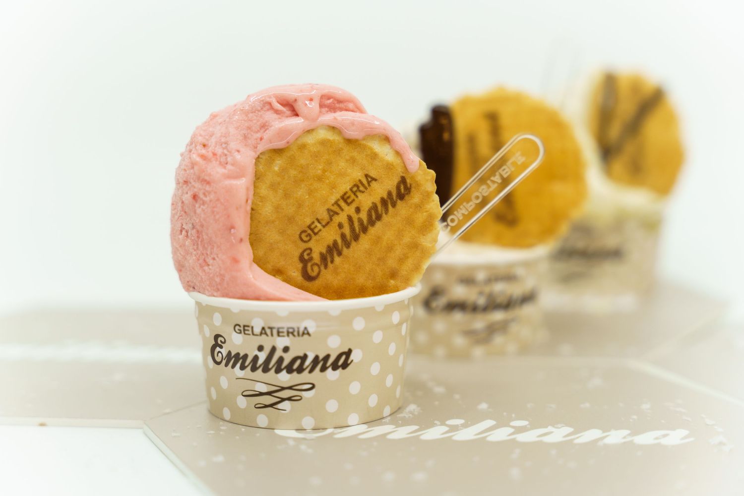 Gelateria Emiliana 2019