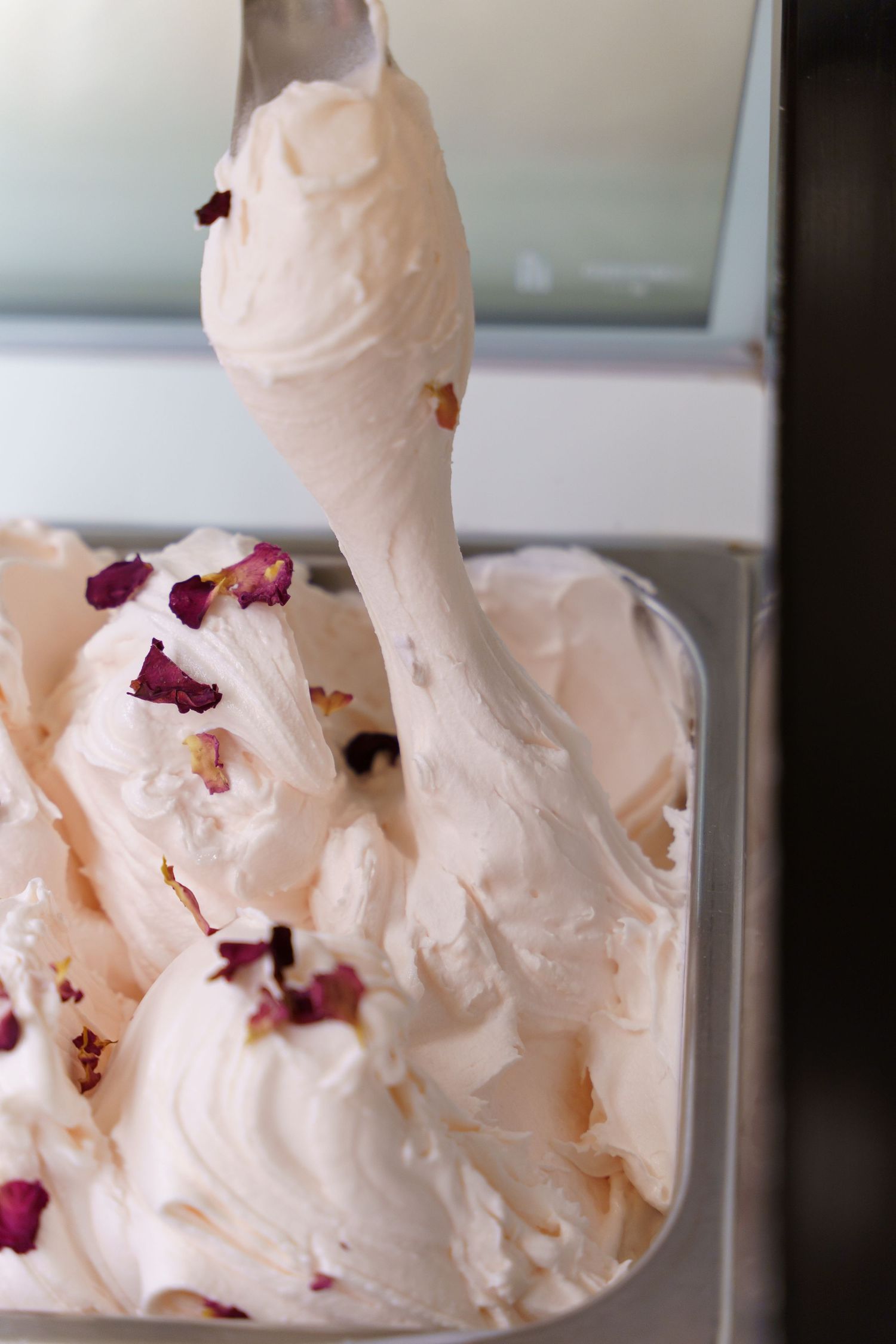 Gelateria Emiliana 2019
