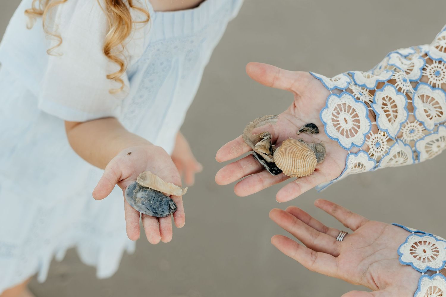 Child in a white dress and an adult in a lace-sleeved top hold out open hands showing seashells found on a sandy beach.