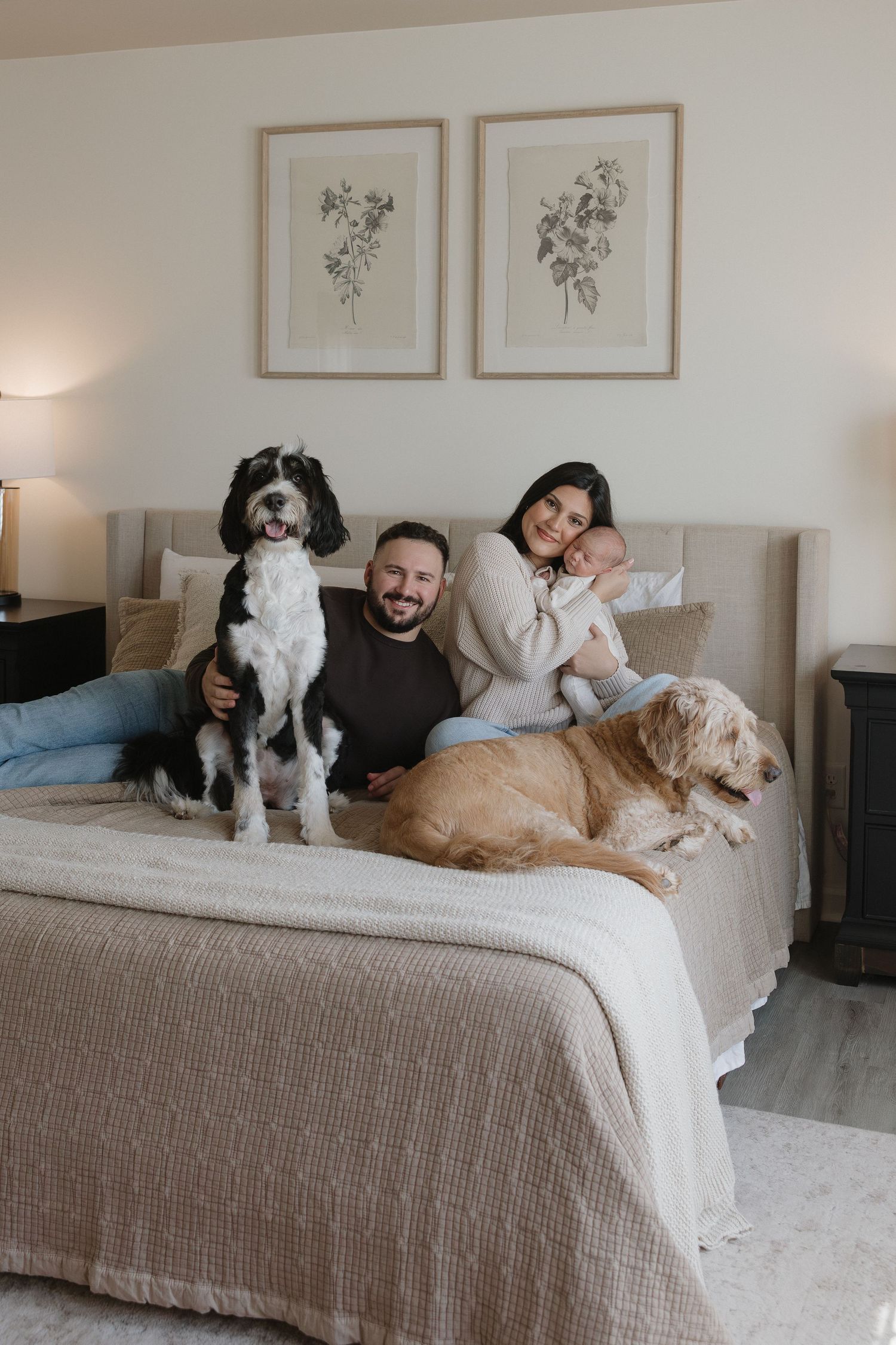 Four progressive photos show people and dogs lounging together on a gray bedspread in a minimalist bedroom setting.