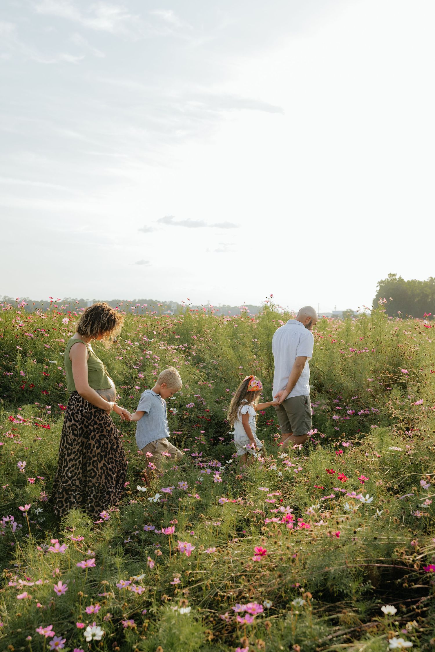 Family explores together through a hillside meadow filled with pink cosmos flowers.