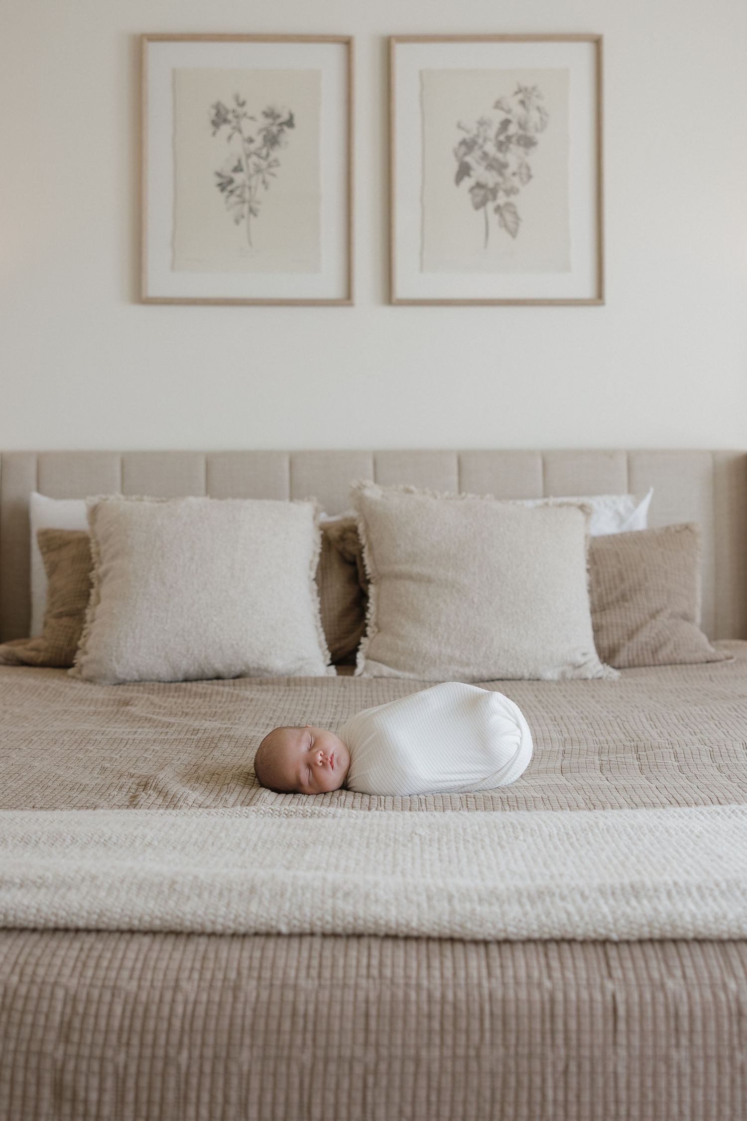 A peaceful nursery scene with soft white bedding and delicate botanical prints on the wall.