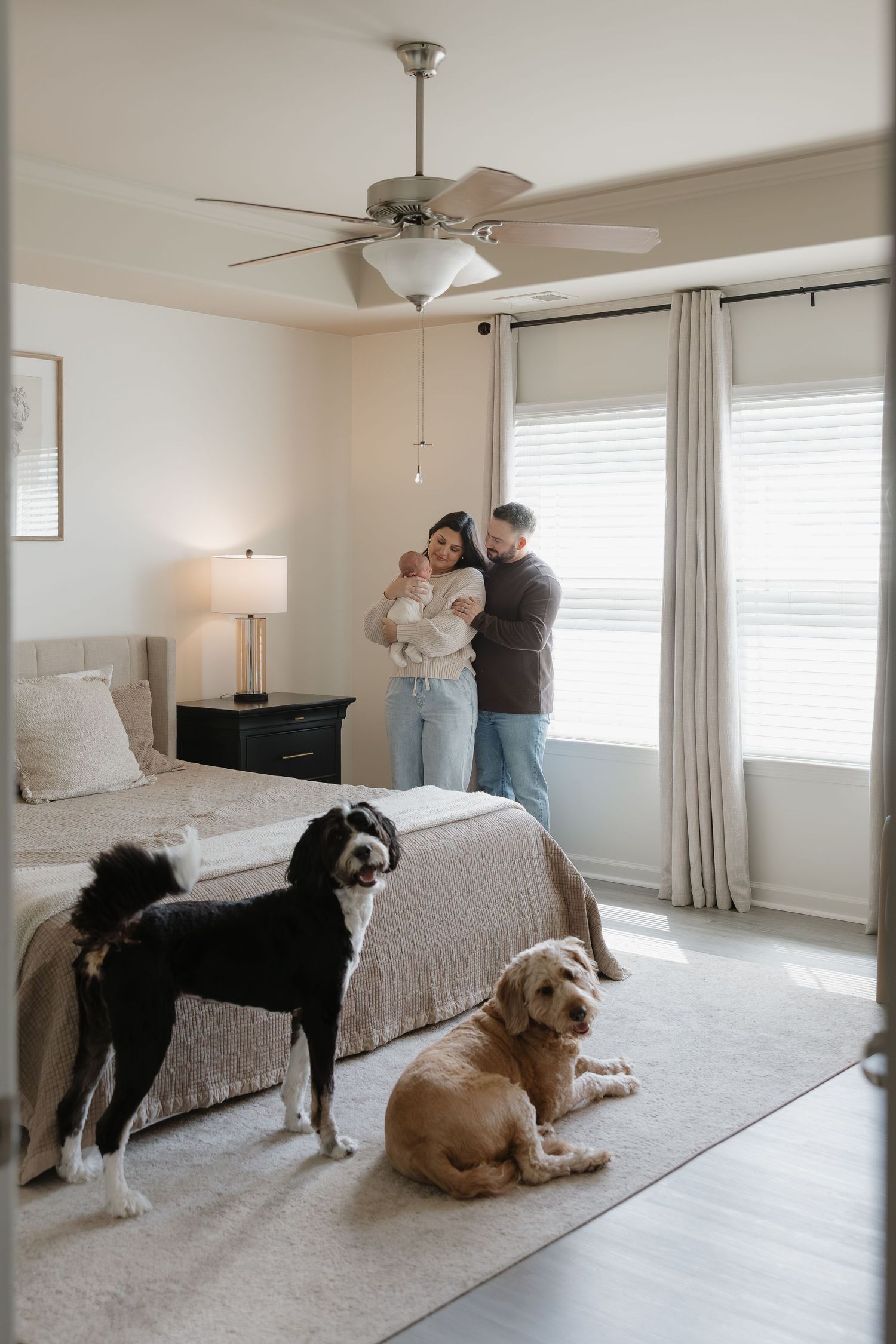 A cozy bedroom interior with two dogs lying on carpet while people stand near windows with white curtains and ceiling fan.