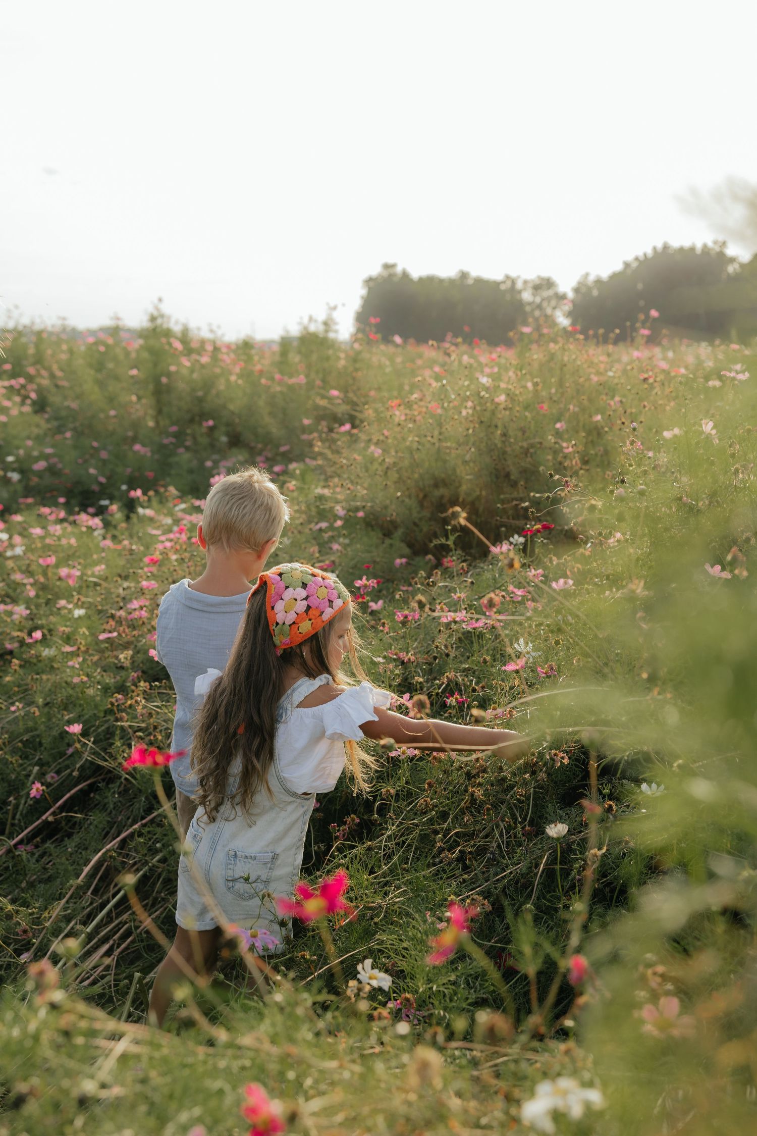 Two children explore together in a field of pink cosmos flowers at sunset.