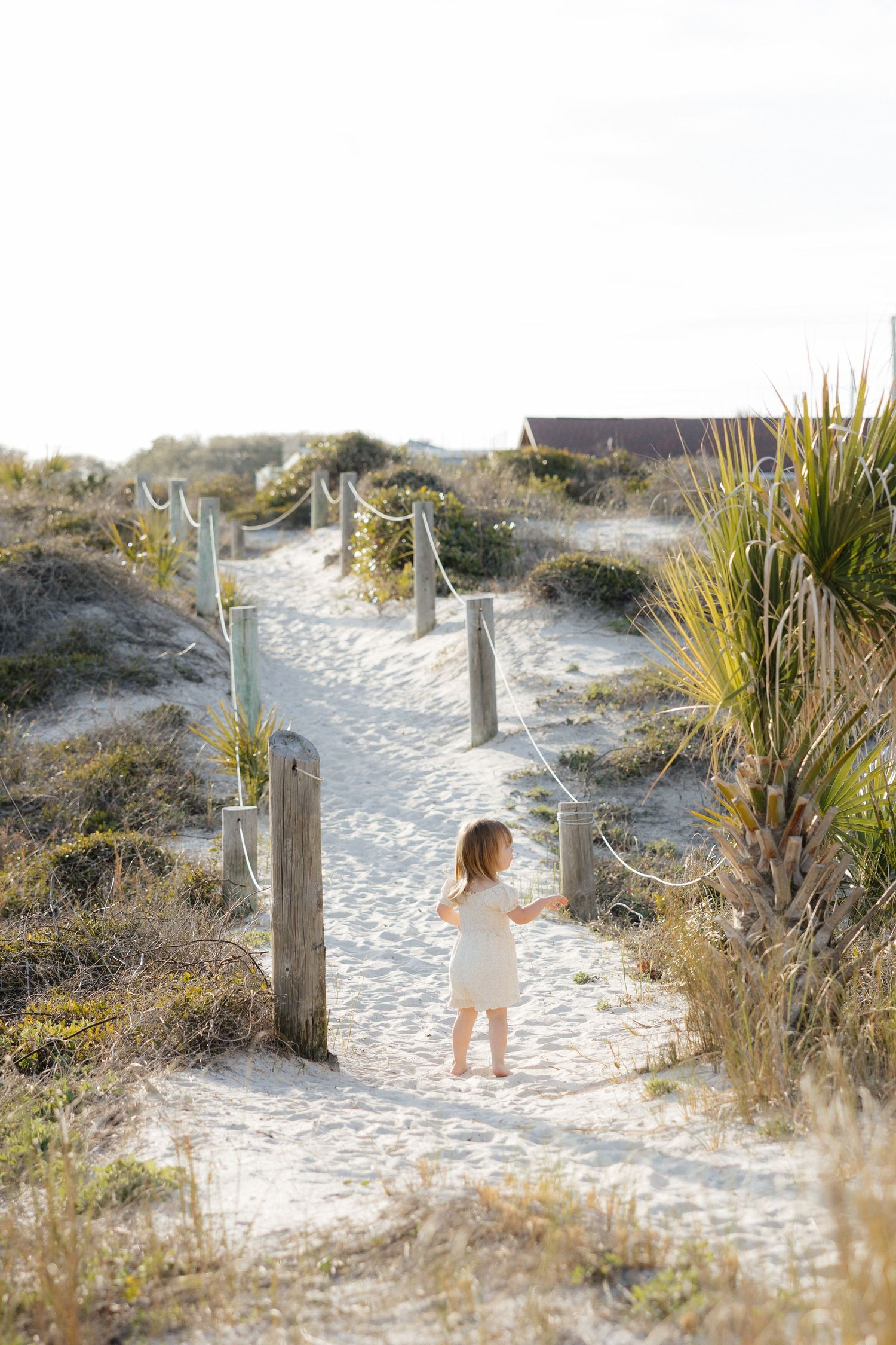Child in white dress walking along sandy beach path lined with wooden posts and sea grass.