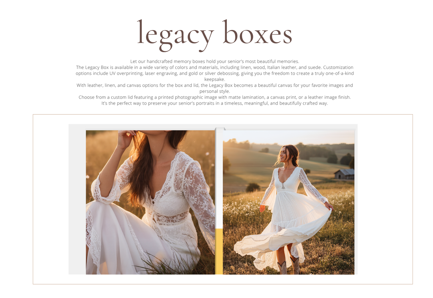 Bride in lace wedding gown poses in golden sunlit field, showcasing Legacy Boxes bridal collection.