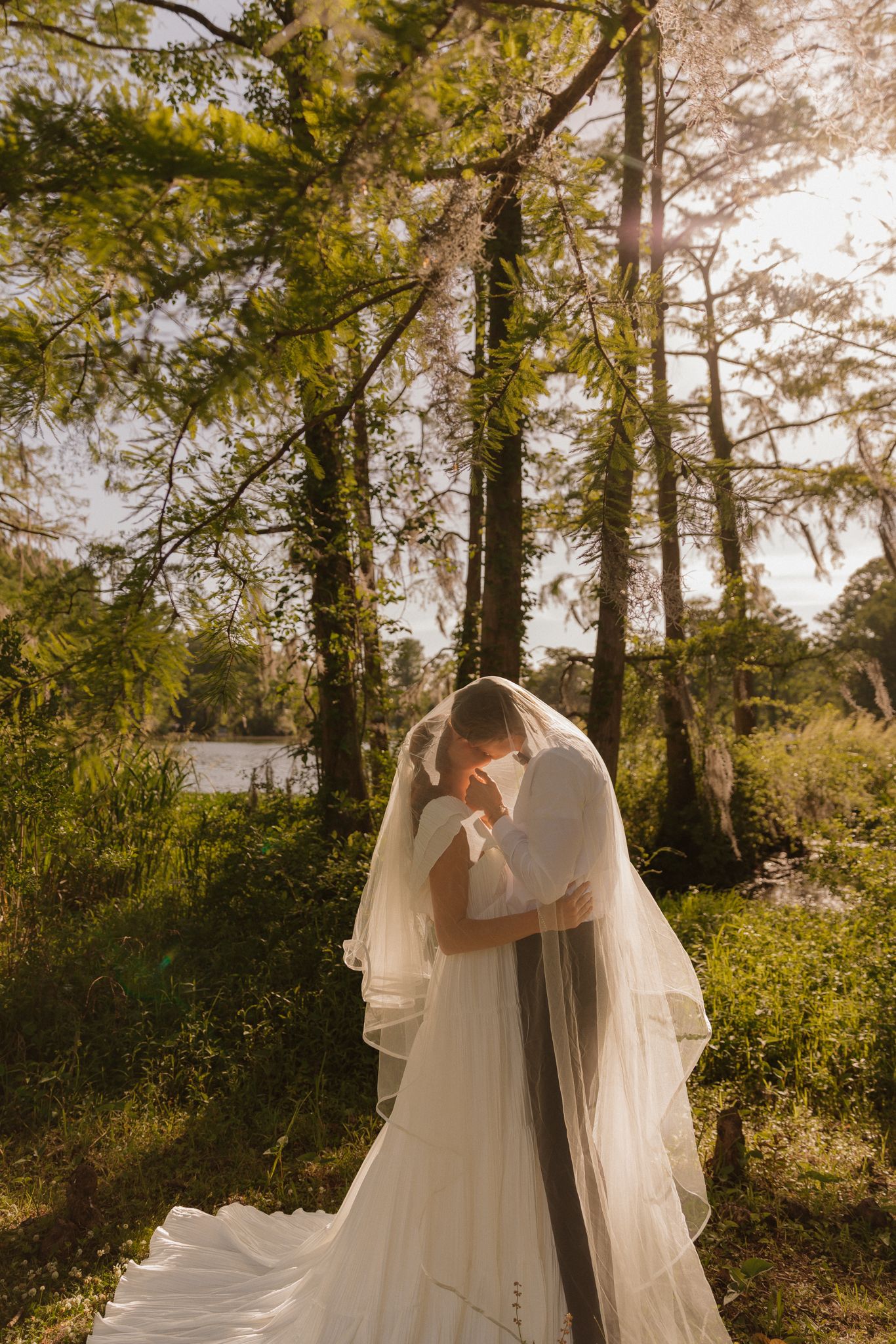 A dramatic bridal portrait with sunlight filtering through tall pine trees.