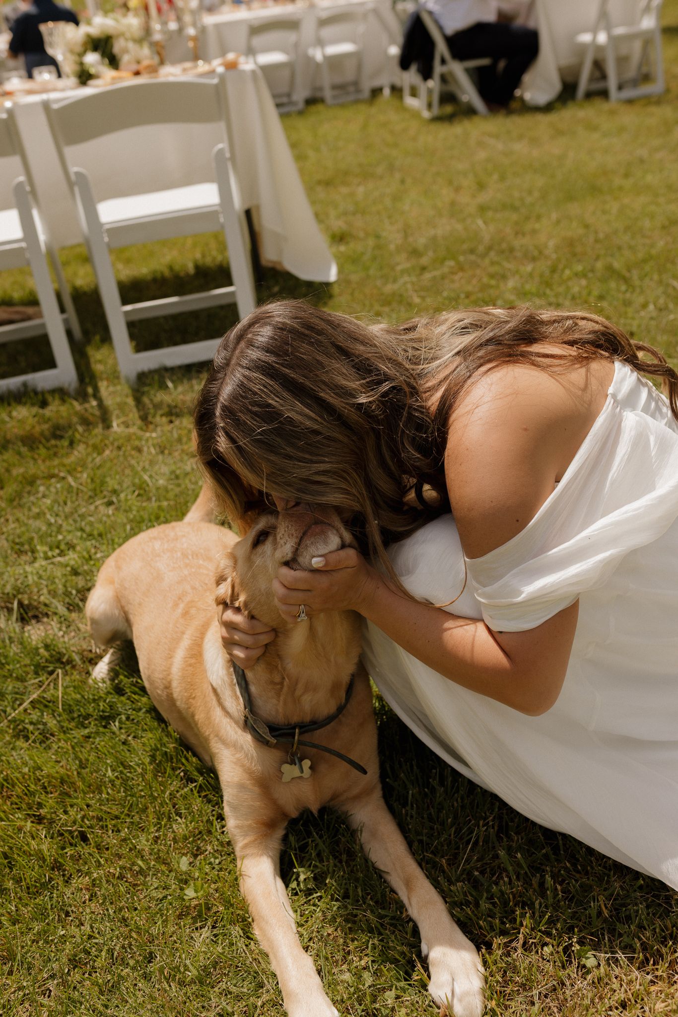 A bride in a white dress embraces a golden retriever on the grass.