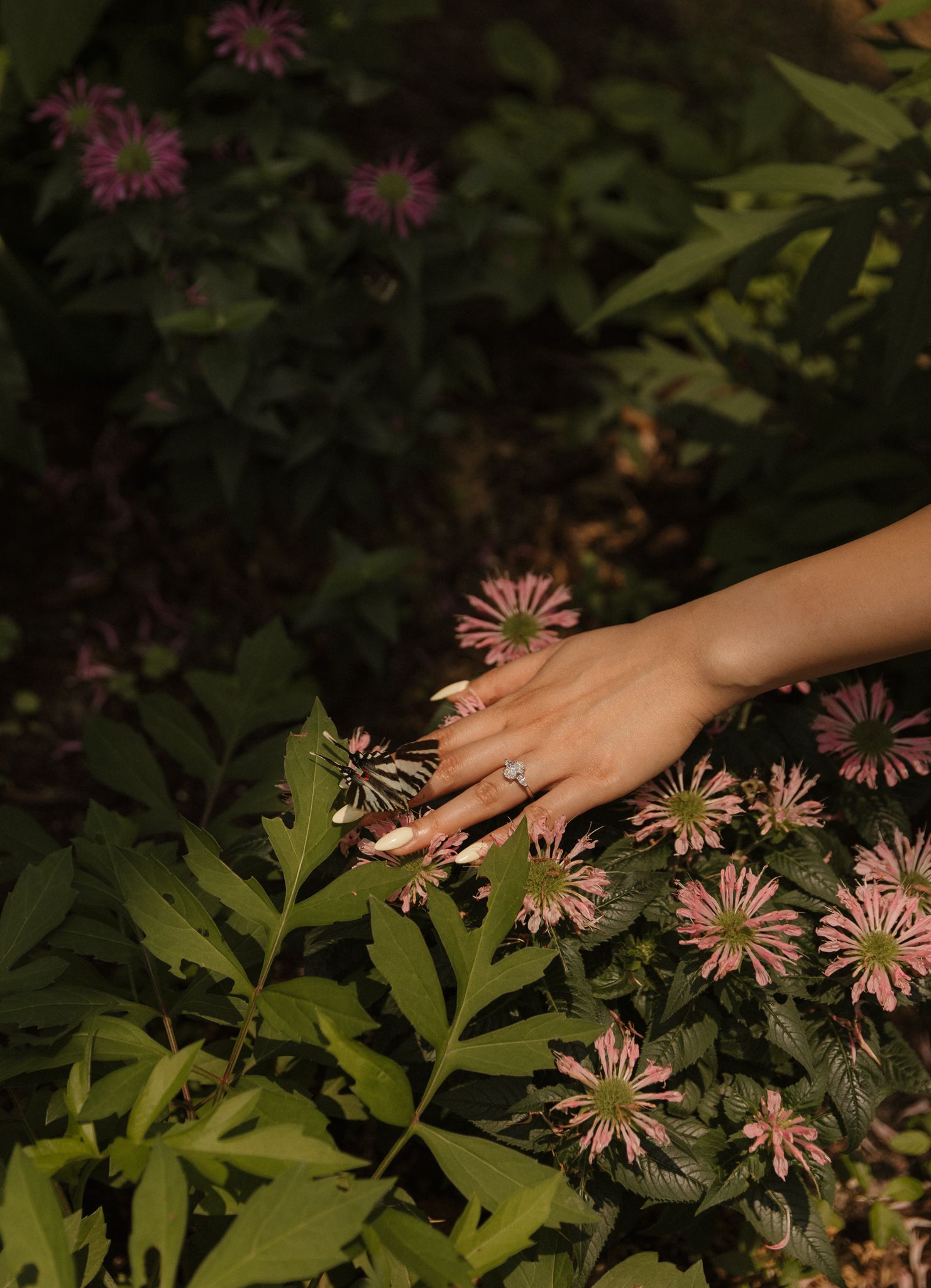 Hand reaching out to touch pink flowers in a lush garden setting.