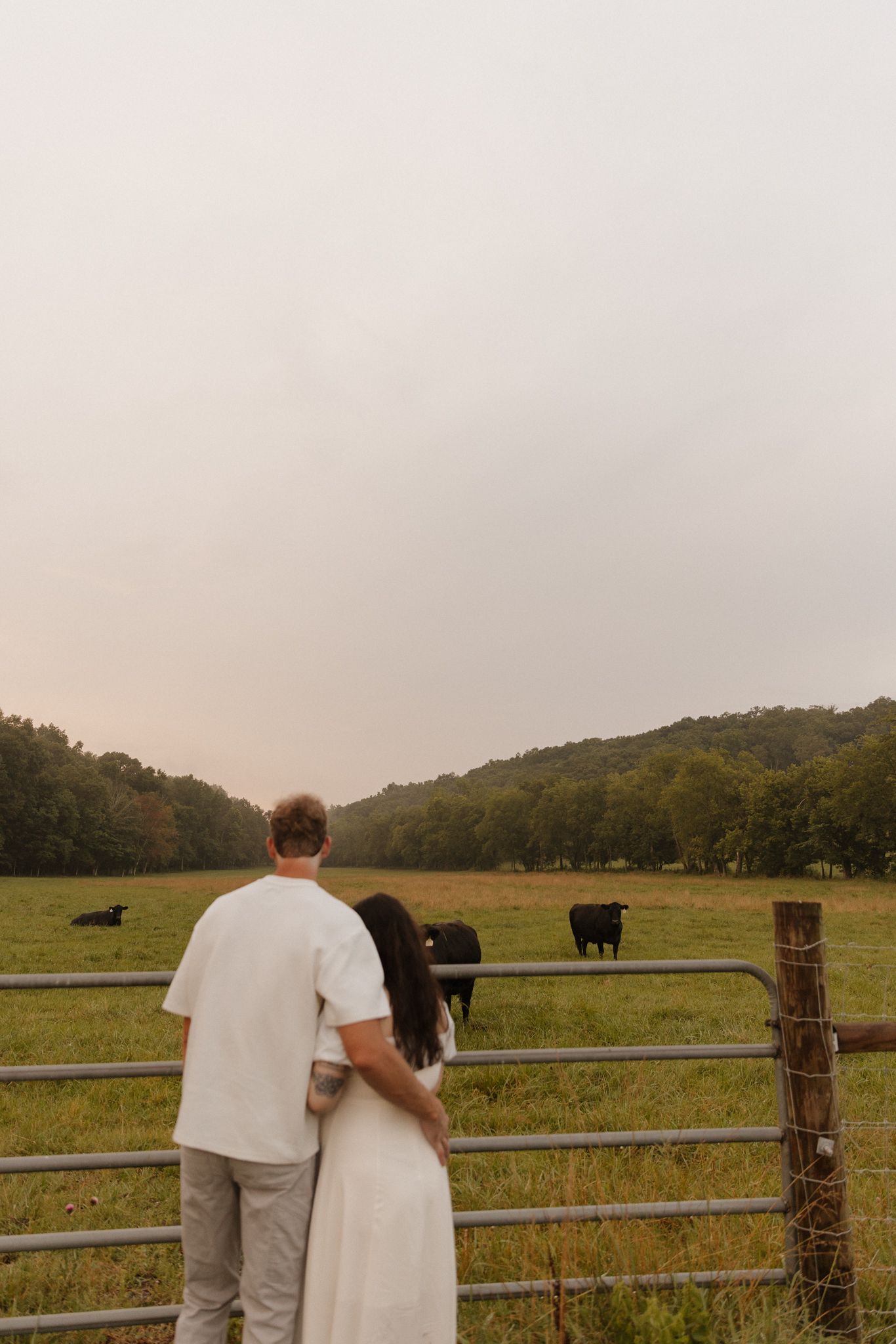 Couple in casual attire stands at rustic fence overlooking pastoral field with black cows grazing at sunset.