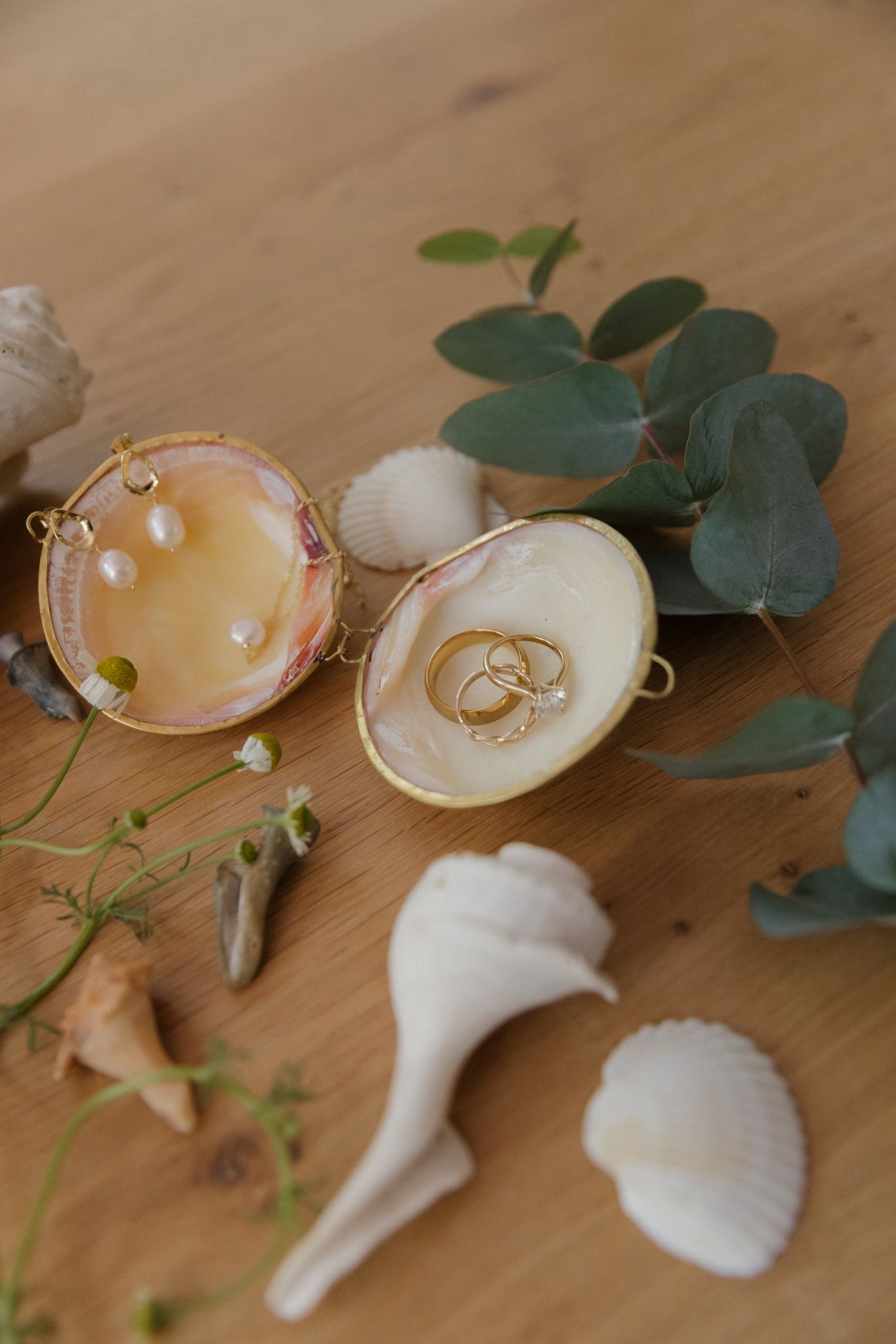 Wedding rings nestled in a seashell alongside eucalyptus leaves and white seashells on a wooden surface.