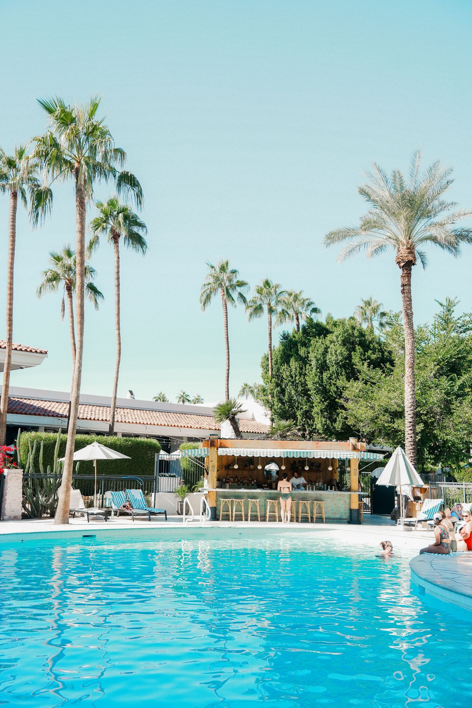 A serene resort swimming pool surrounded by palm trees and lounge chairs under bright blue sky.