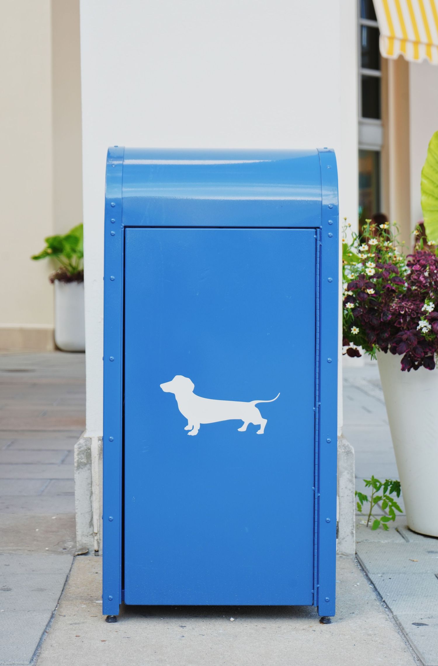 A bright blue public trash bin decorated with a white silhouette of a dachshund dog stands on a sidewalk near flower planters.