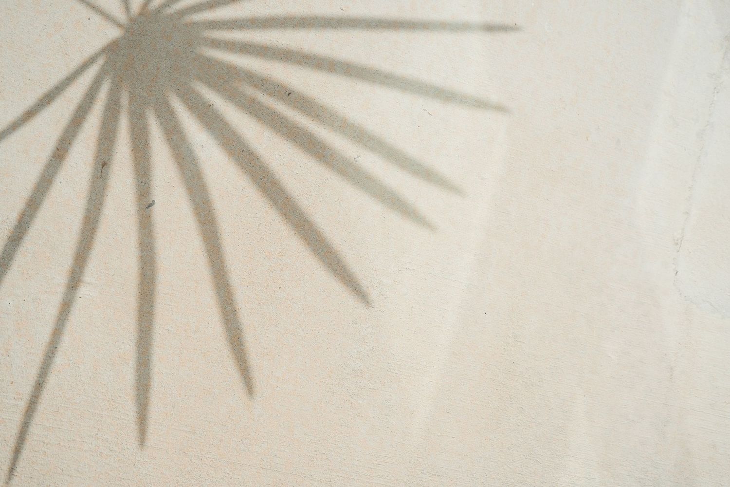A starburst pattern shadow is cast against a plain white wall creating a minimalist geometric design.
