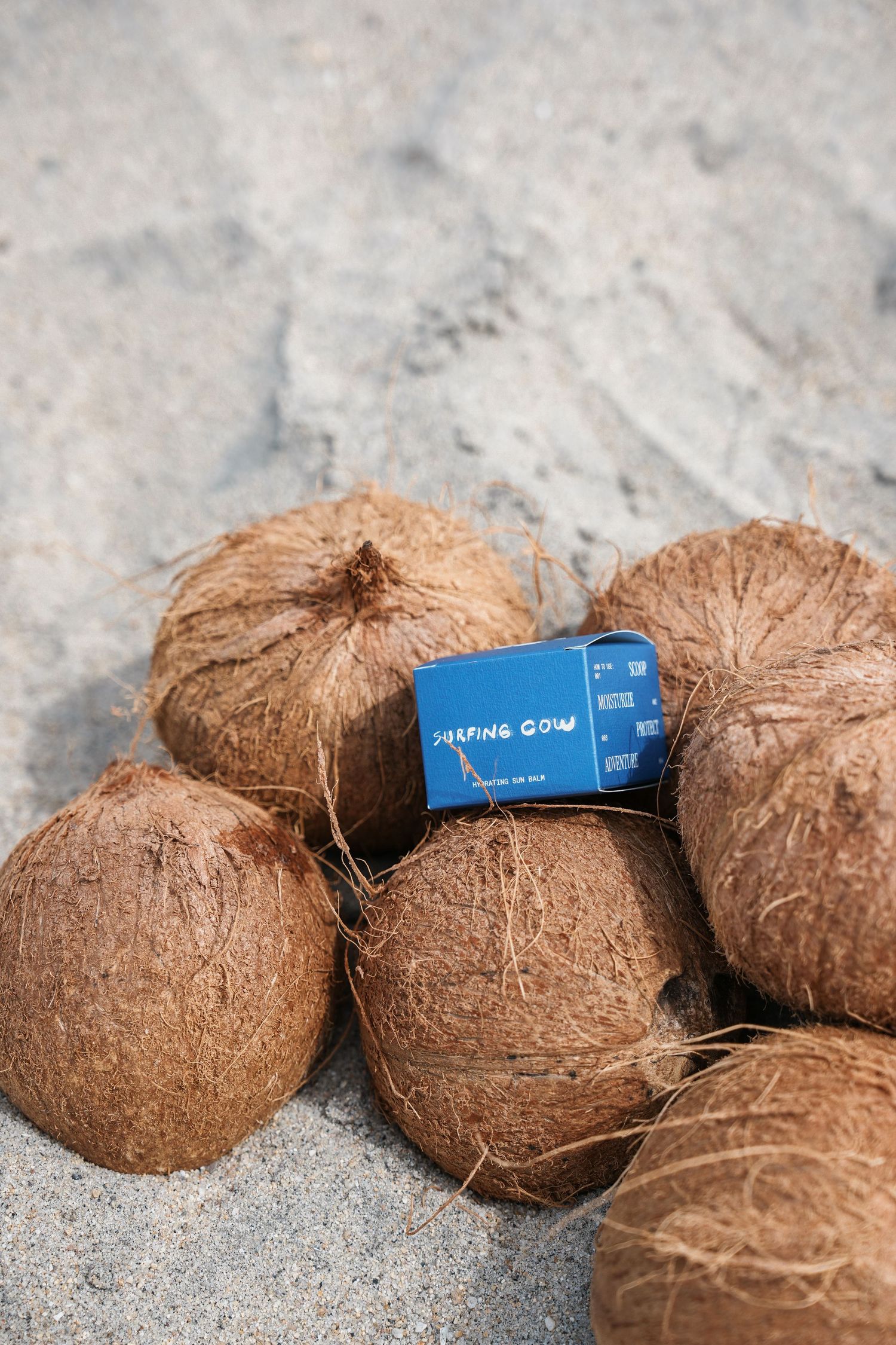 Three whole brown coconuts with fibrous husks arranged on a textured gray surface with a blue tag visible.