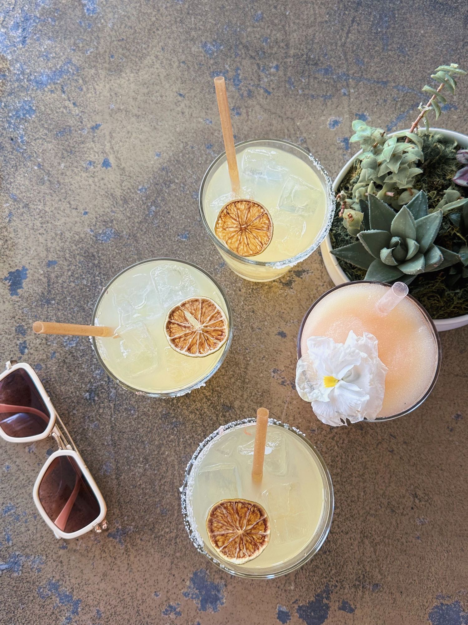 Four citrus cocktails with dried orange garnish and bamboo straws next to sunglasses and a succulent plant.