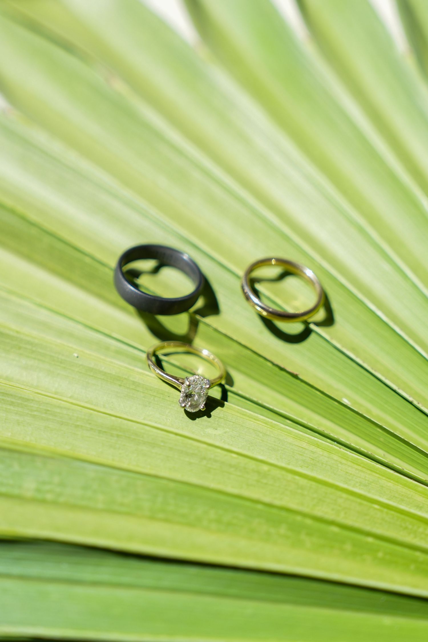 Three wedding rings displayed on a tropical palm leaf, including a diamond engagement ring and two bands.