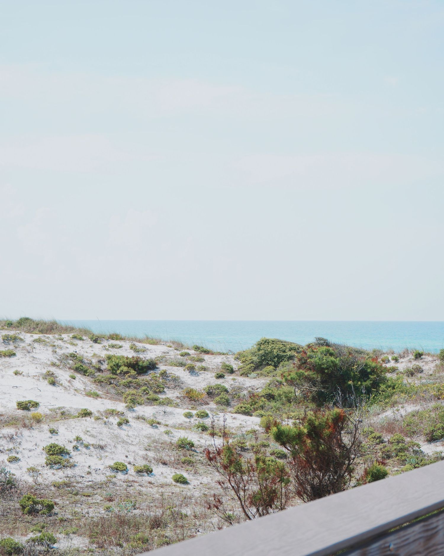 Scenic coastal dune landscape with sand hills and shrubs overlooking a turquoise ocean on a bright summer day.