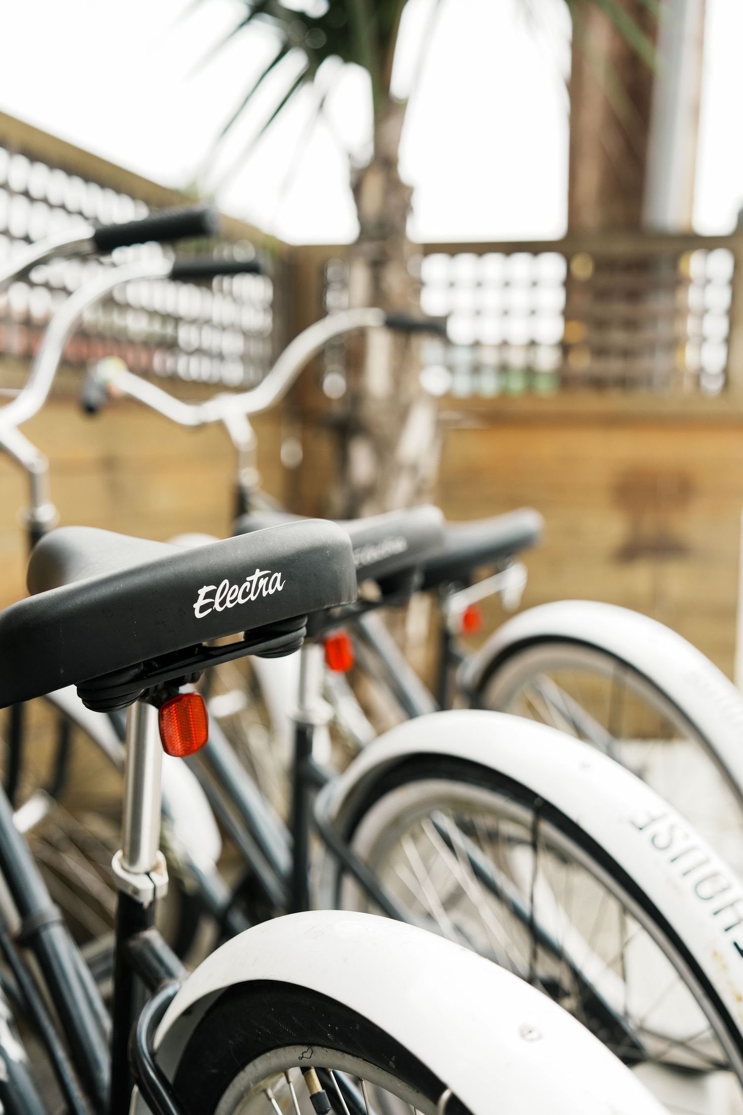 Row of parked Electra bicycles with white frames lined up under covered outdoor area.