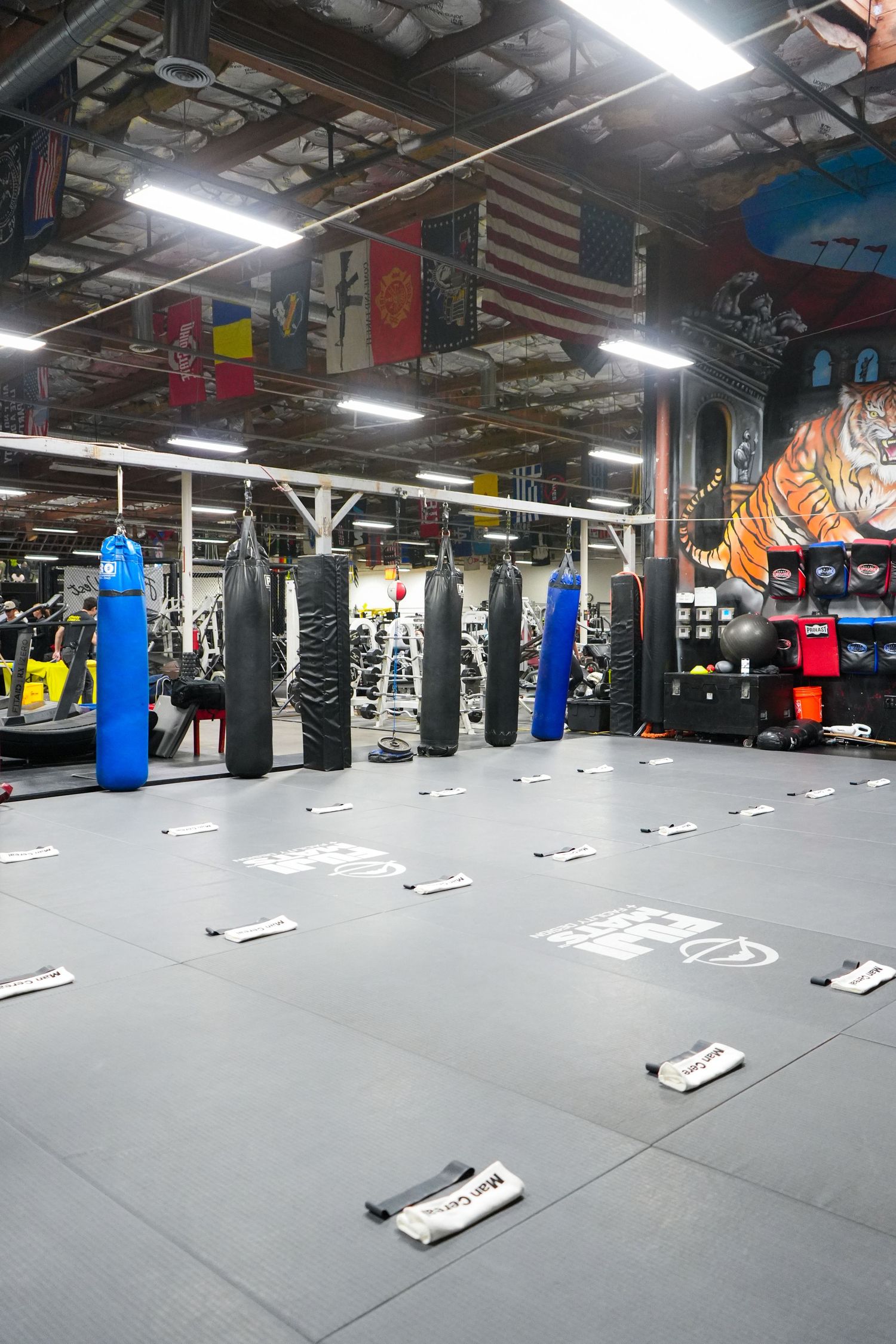 Modern boxing gym interior with hanging punching bags, mirrors, and marked floor spaces for training stations.