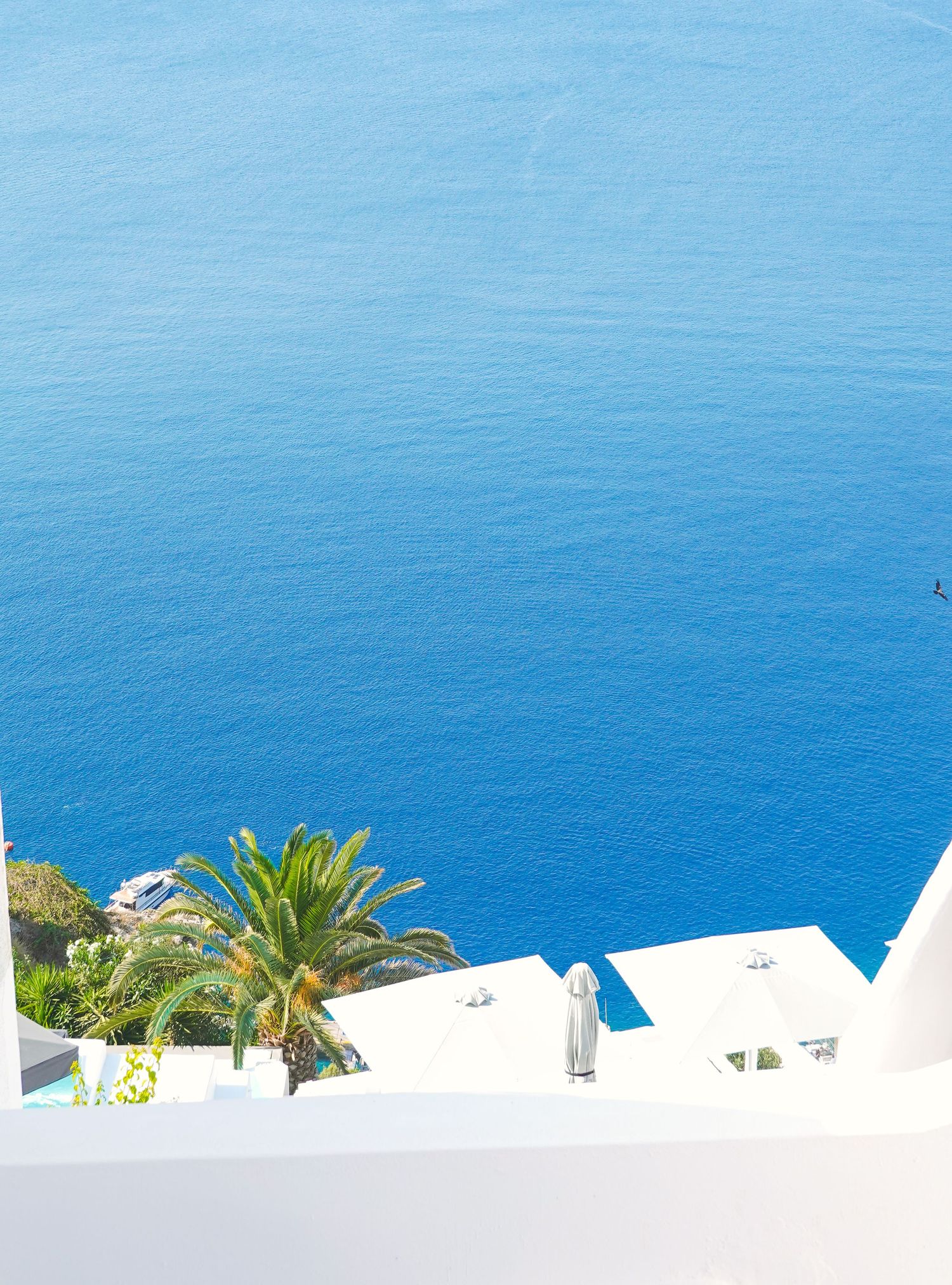 White coastal buildings and palm trees overlooking deep blue Mediterranean waters on a sunny day.
