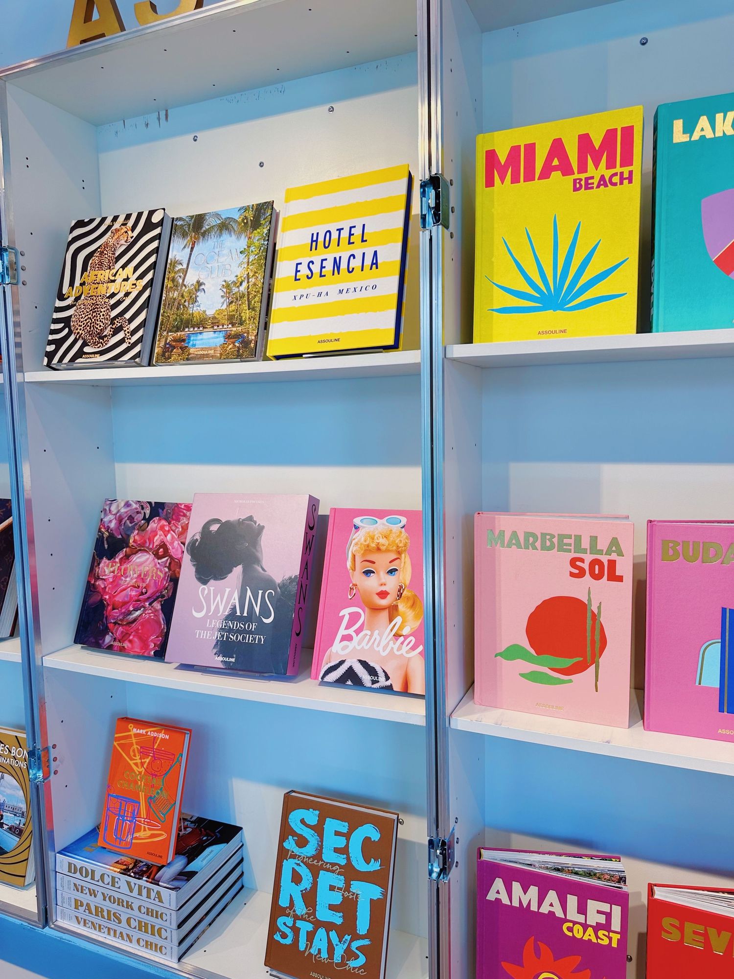 Colorful travel and destination books displayed on blue retail shelves.