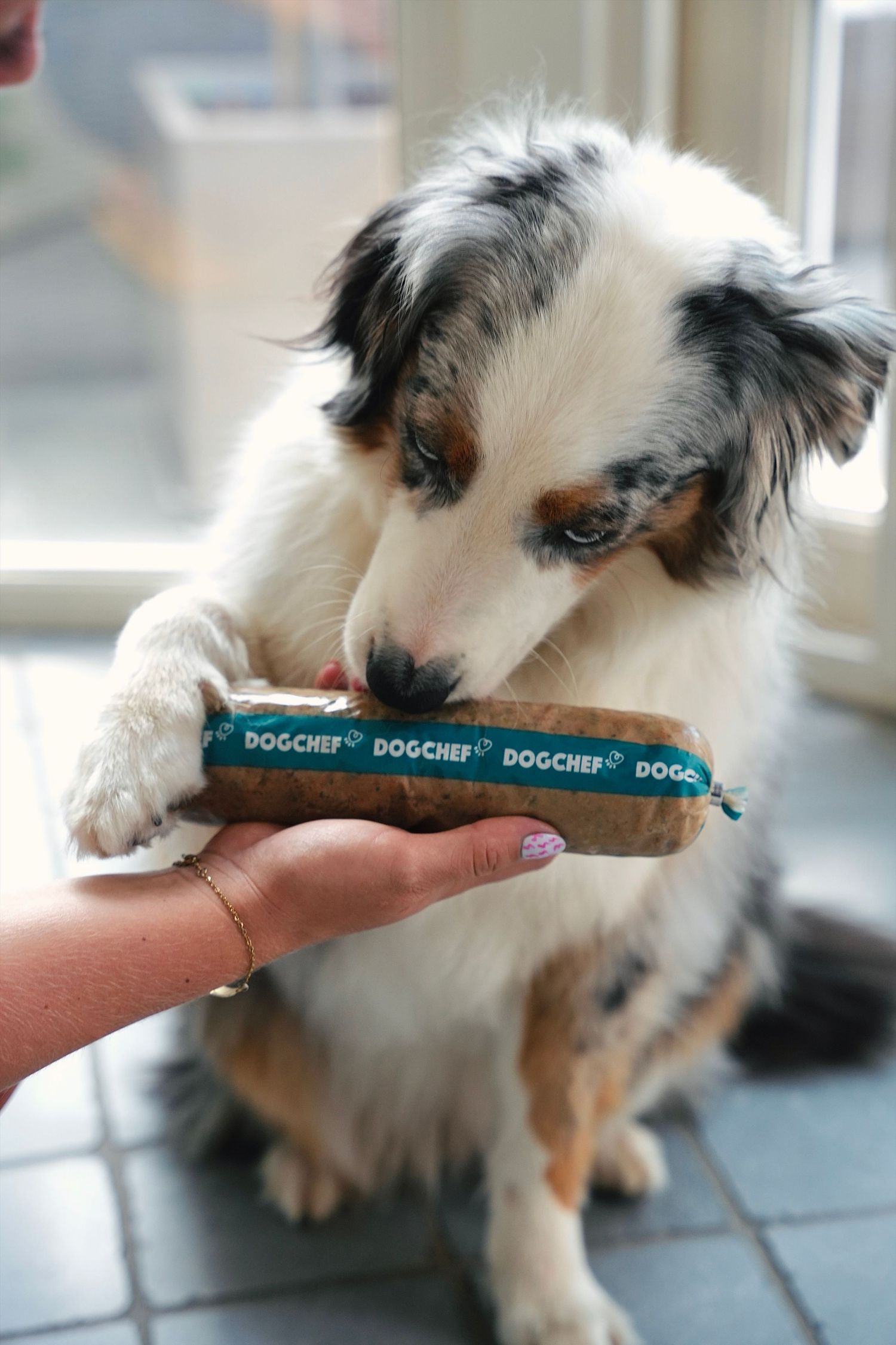 Pet love