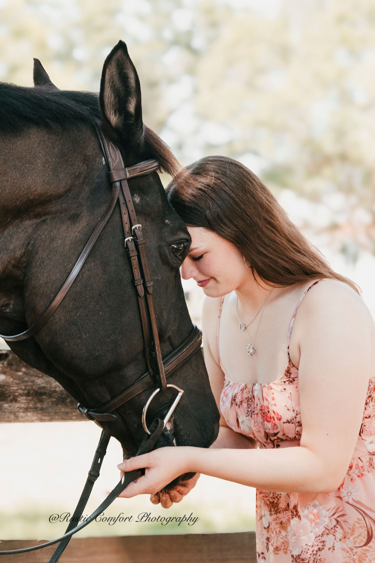 family farm and equine photographer