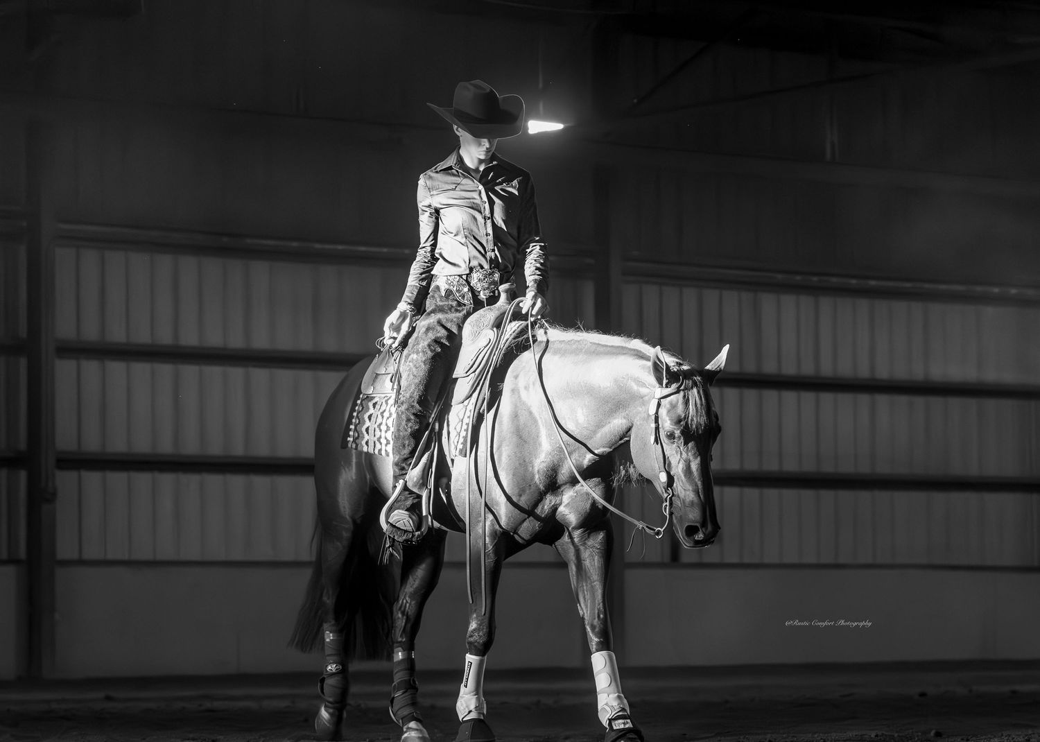 horse show photographer