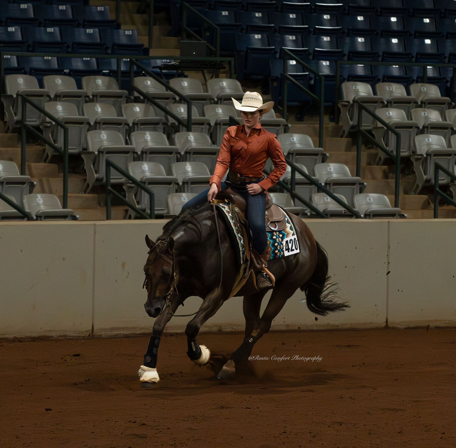 horse show photographer