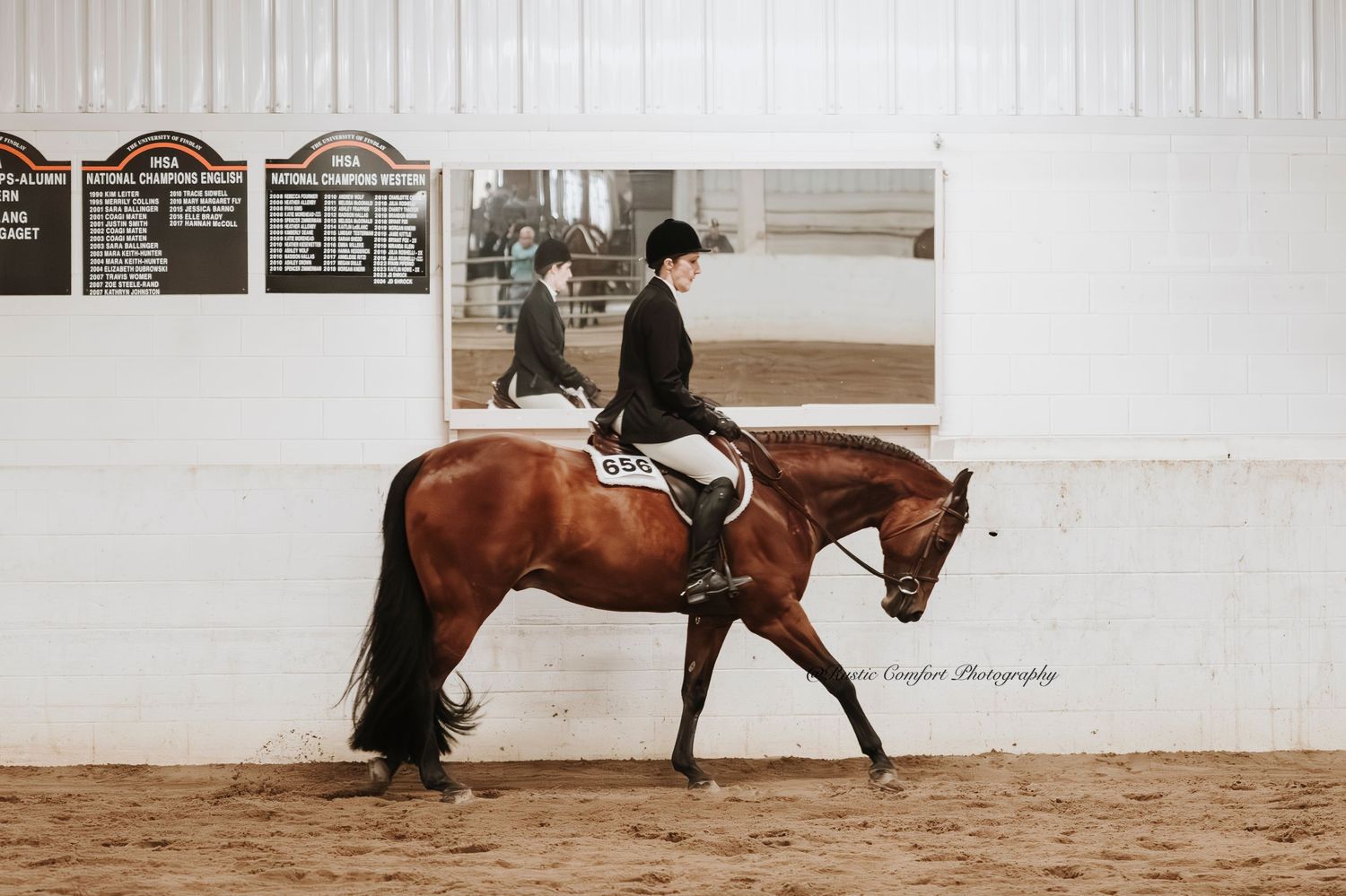equine/farm photographer