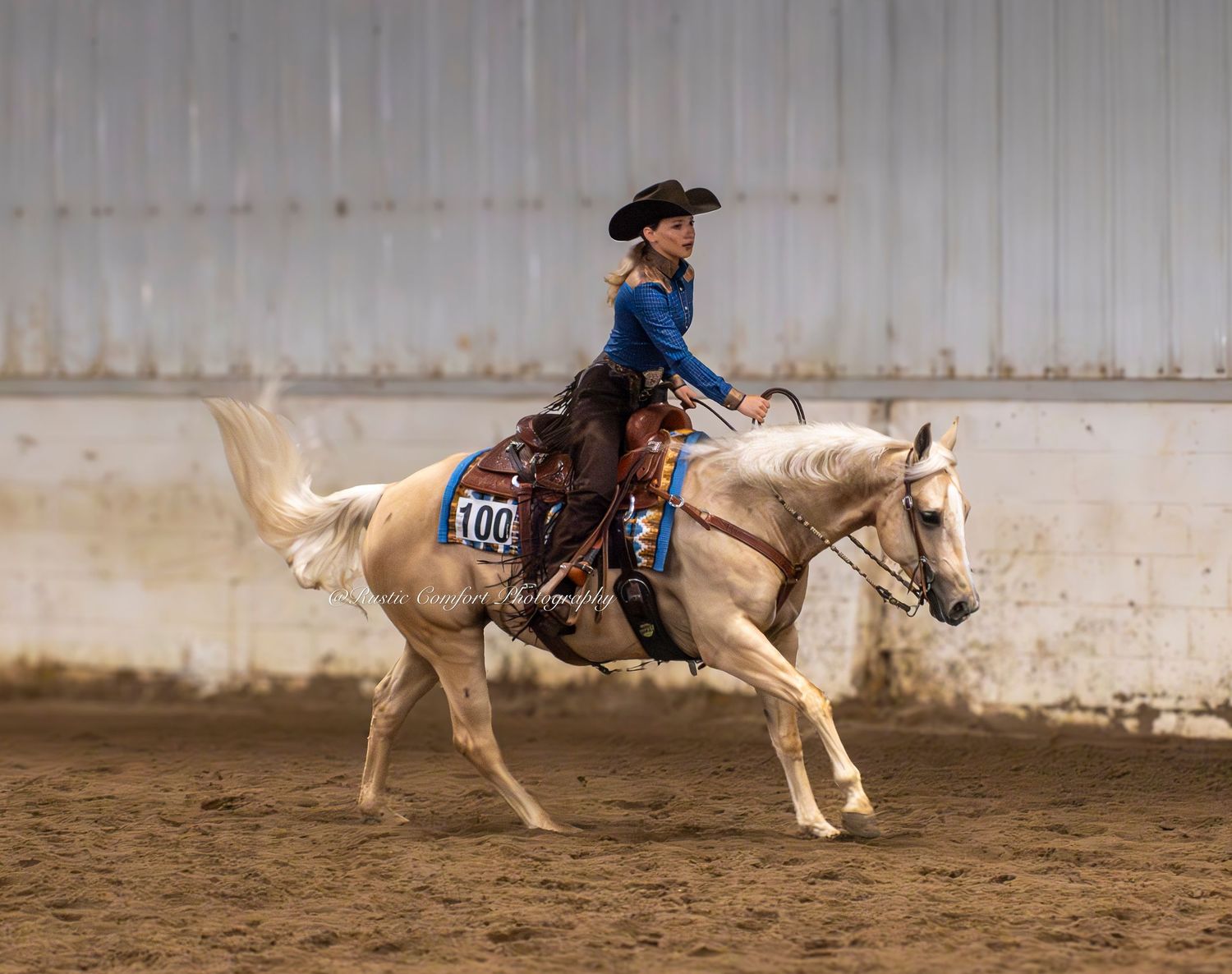 horse show photographer
