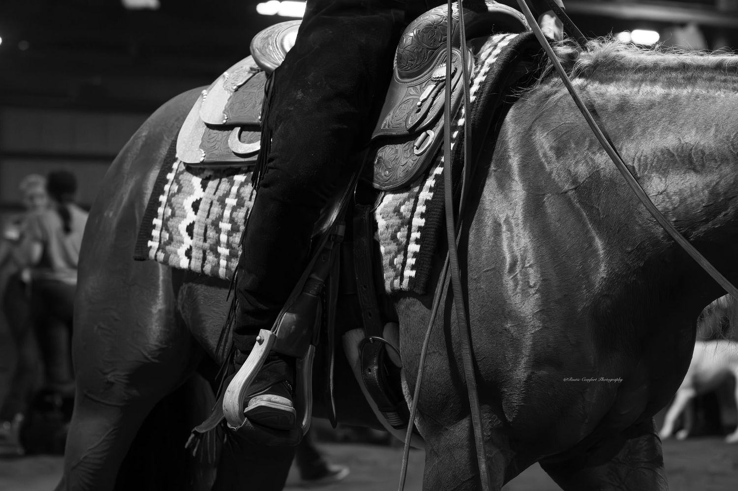 horse show photographer