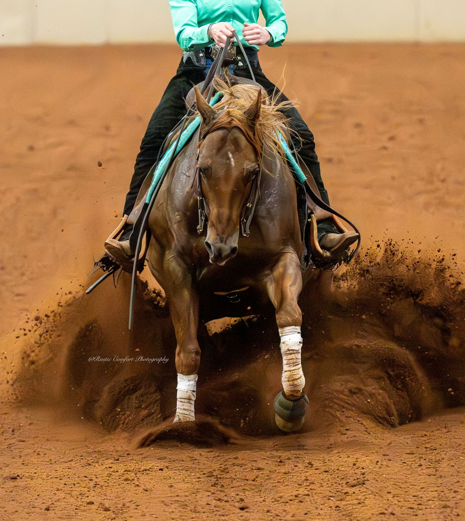 horse show photographer