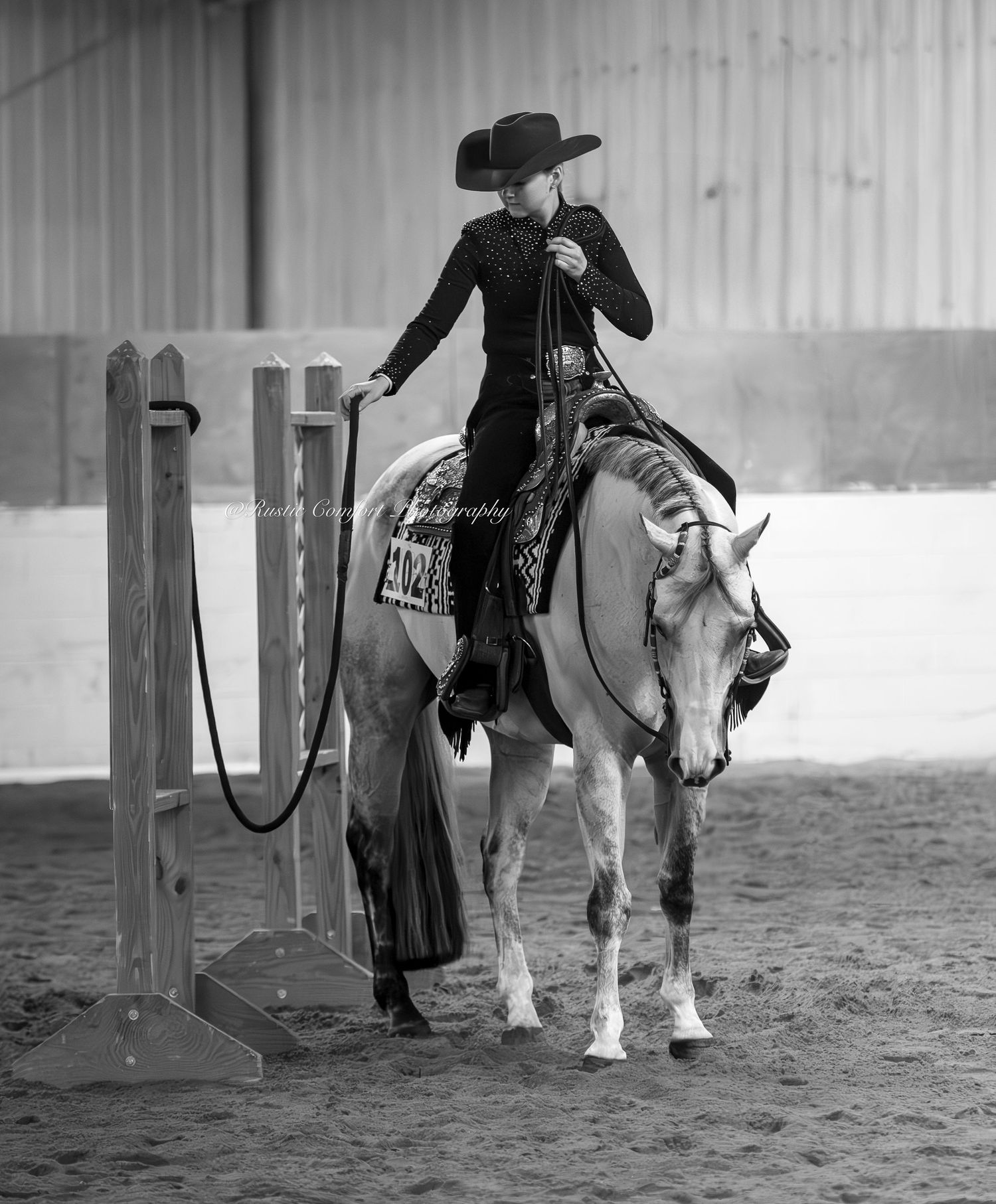 horse show photographer