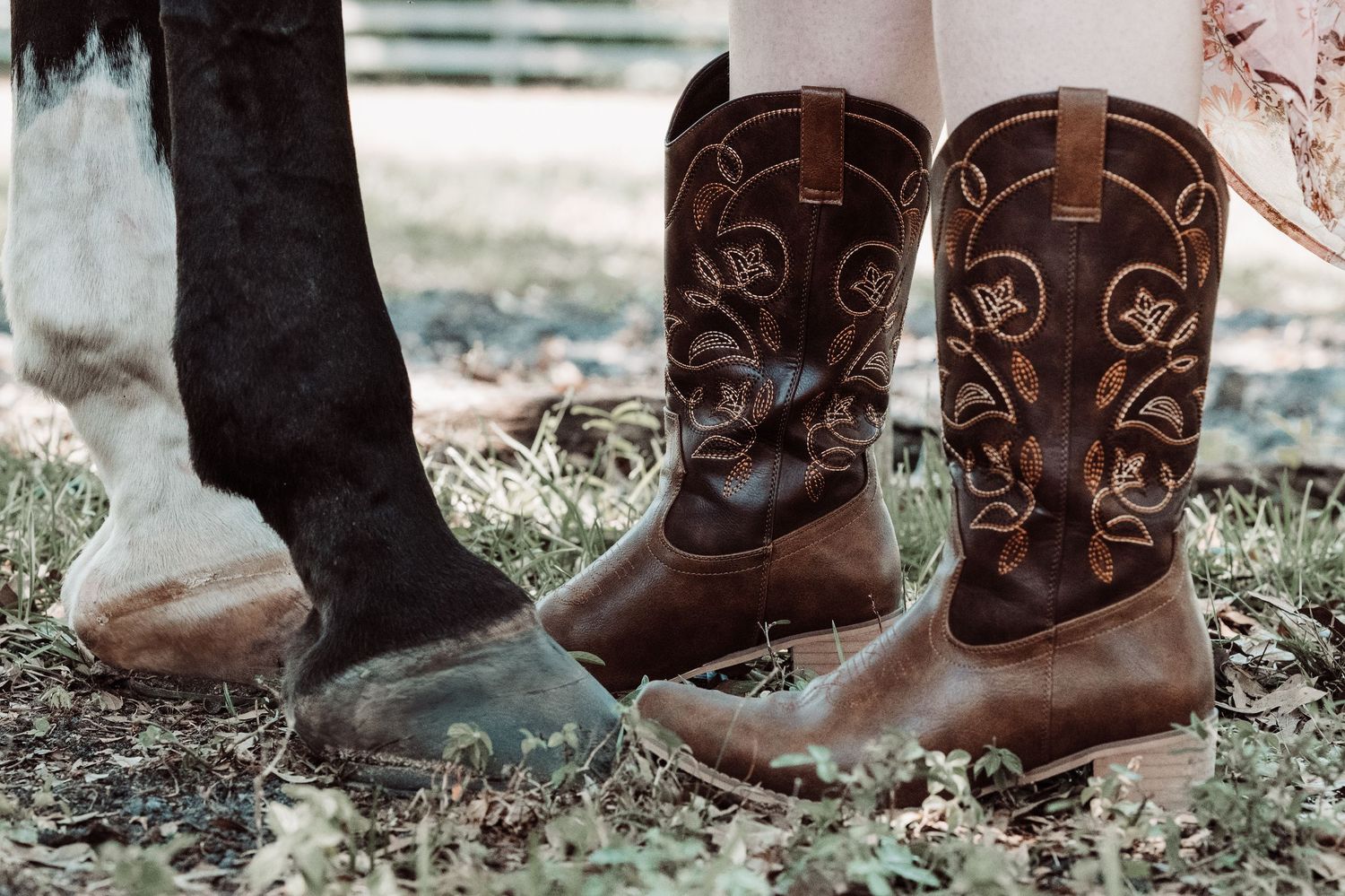 Ohio family farm ranch equine western branding photographer