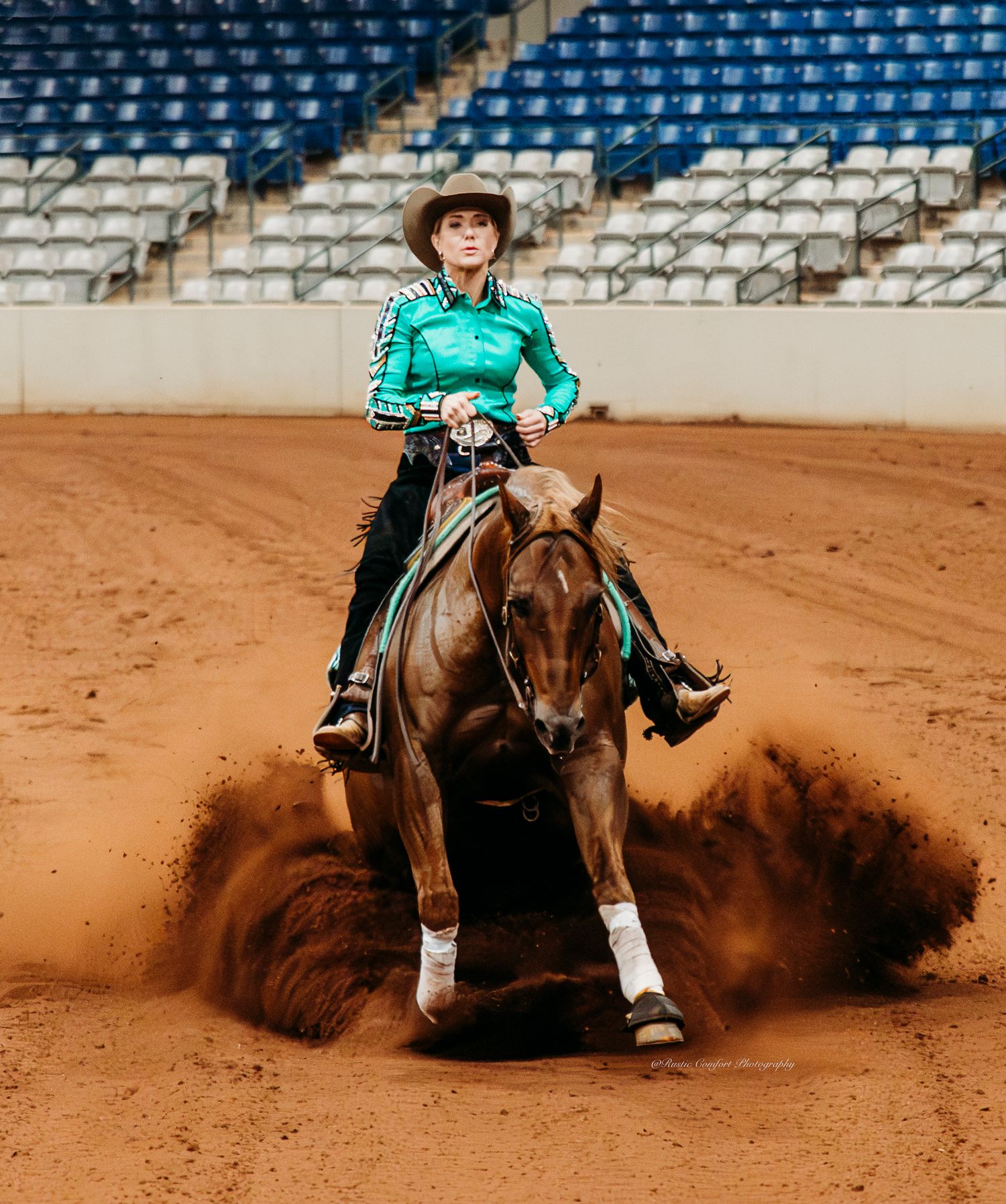 horse show photographer