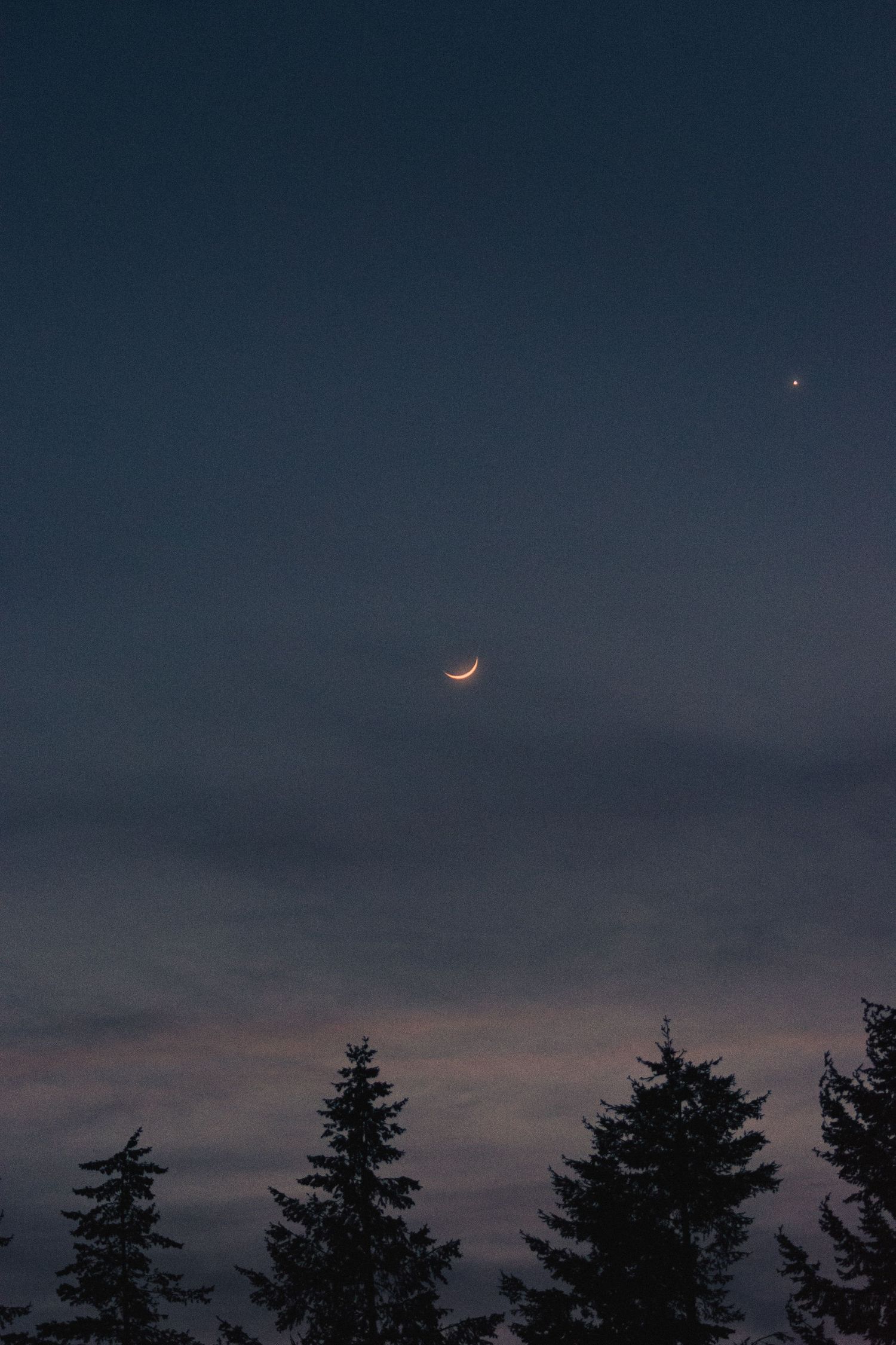 pink crescent moon hangs over fir trees at dusk by Moon Street Photography in Silverton, Oregon