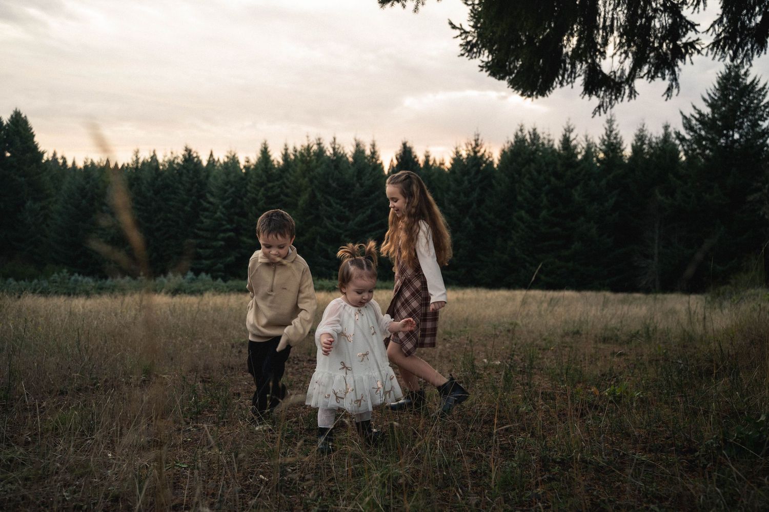 Three young children running playfully at a local tree fam in Silverton, Oregon.