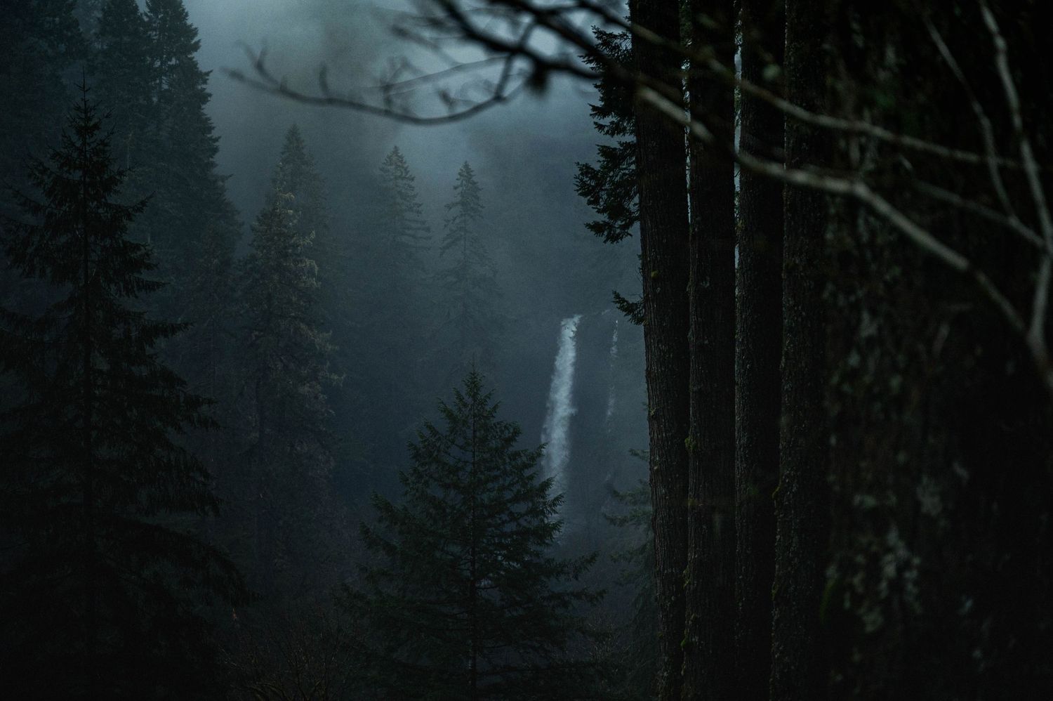 Moody, foggy landscape of a waterfall at Silver Falls State Park in Oregon