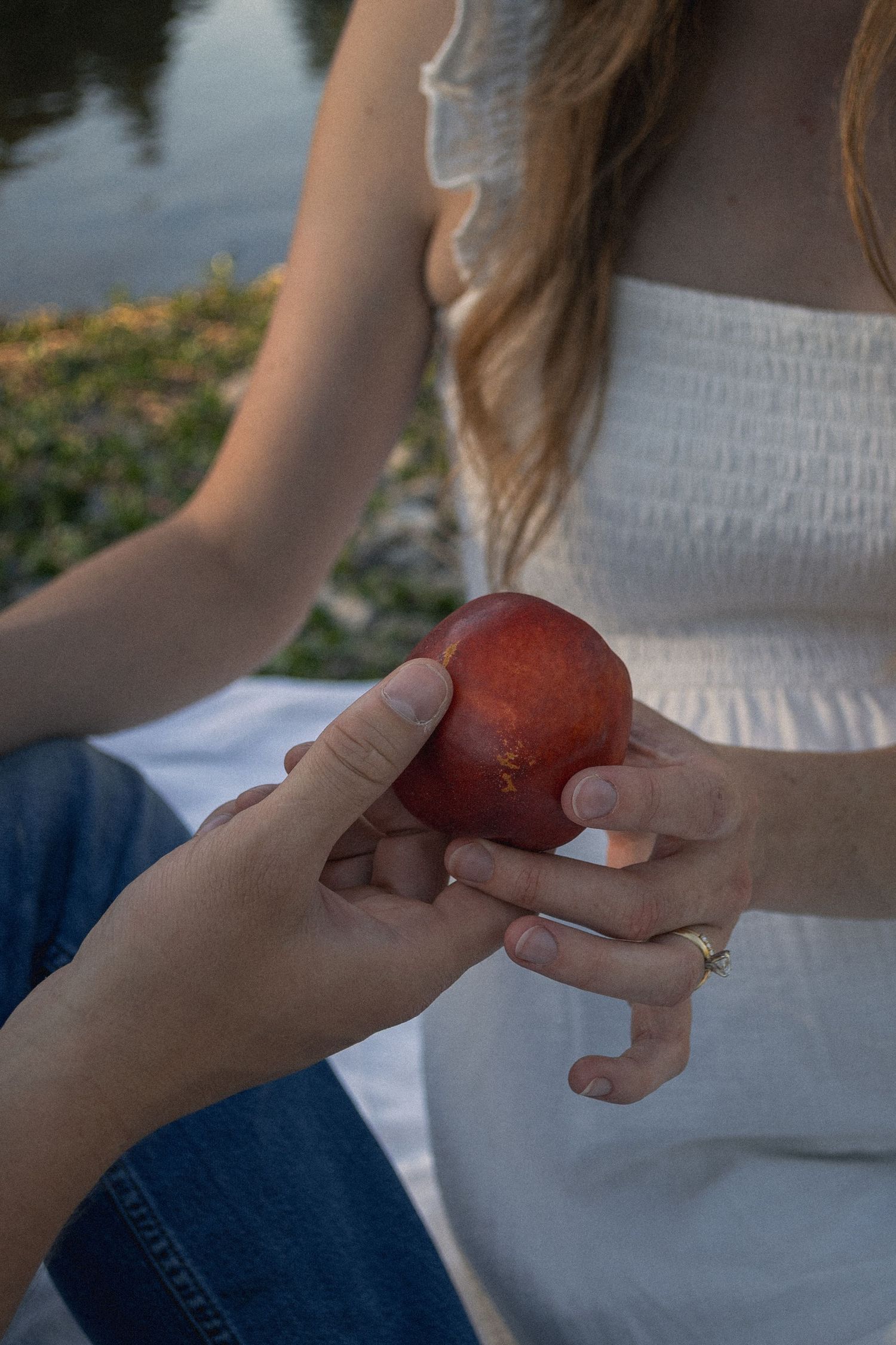 A couple's hands holding an apricot at Willamette Mission State Park by Moon Street Photography