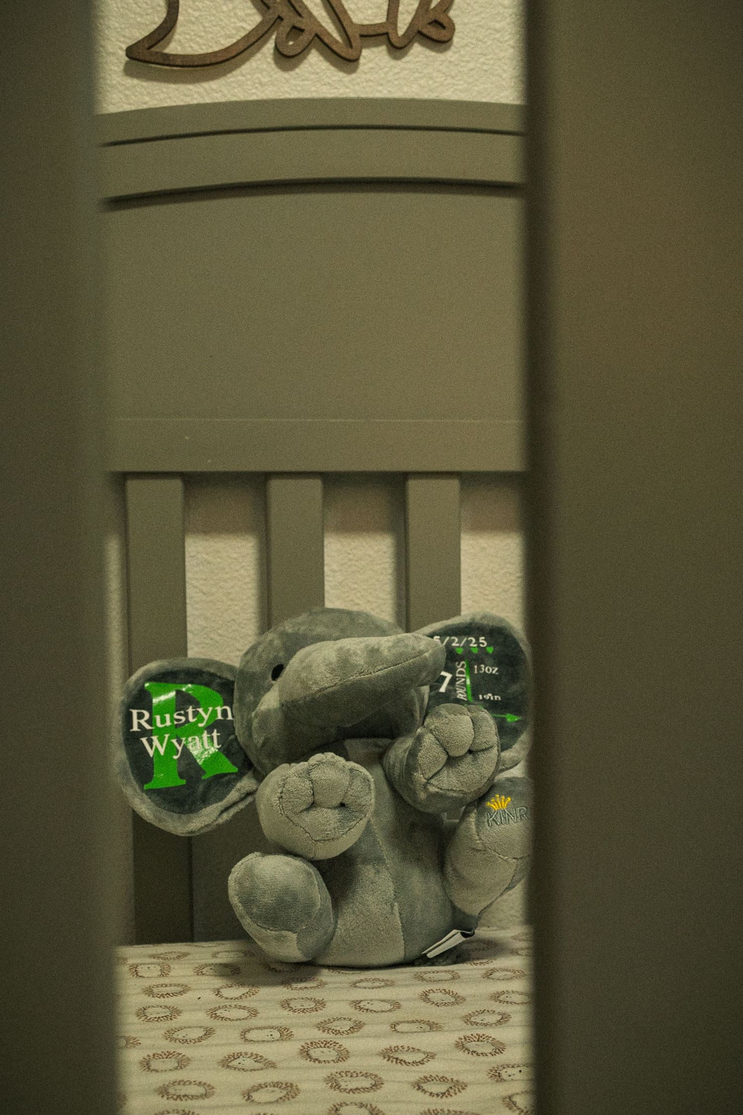 Stuffed animal toys visible through crib slats in soft lighting.