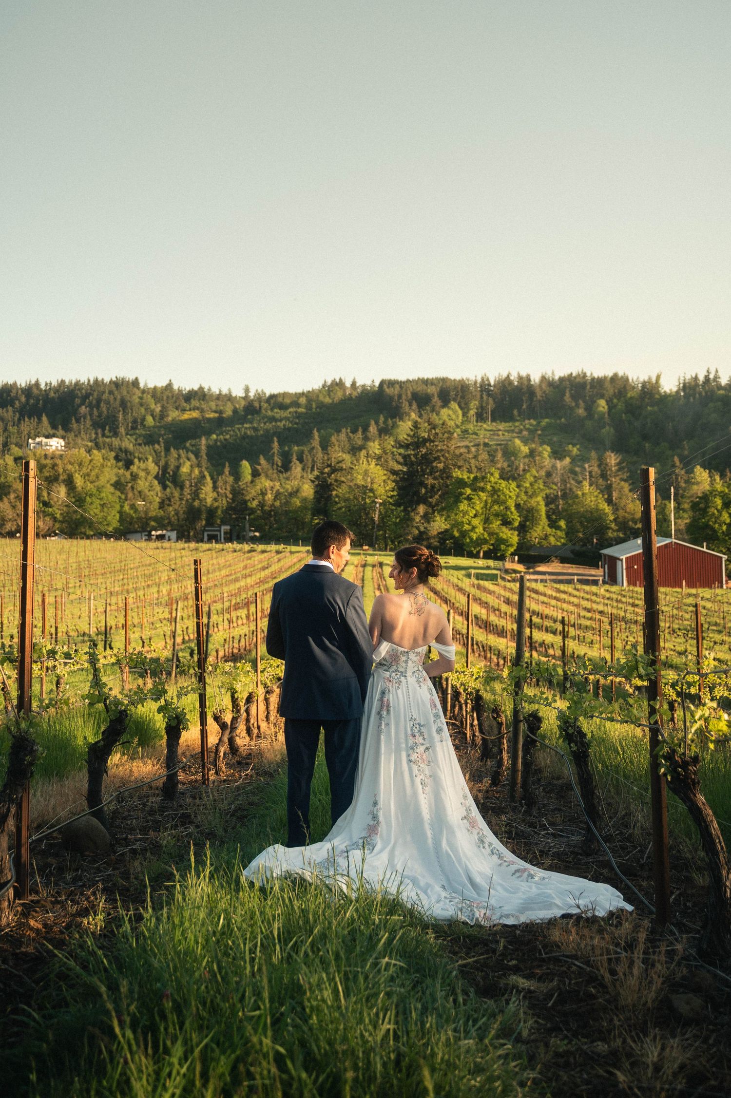 Bride and groom stand together overlooking a lush vineyard at golden hour, with forested hills in the background.