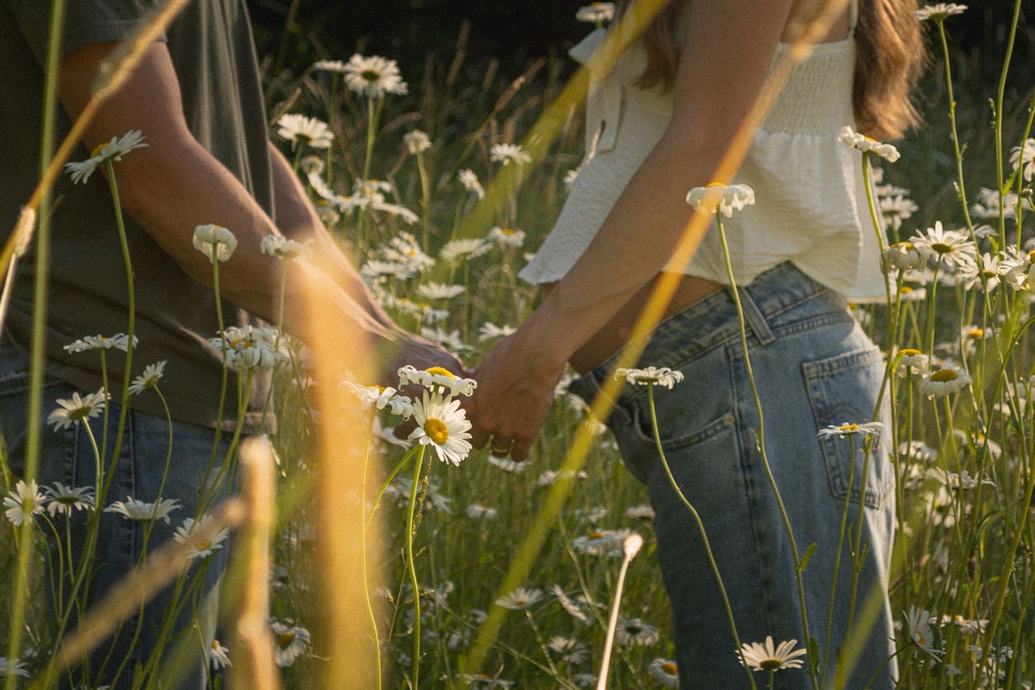 close up of couple holding hands, woman's pregnant stomach peeking through a field of daisies at Willamette Mission State Park