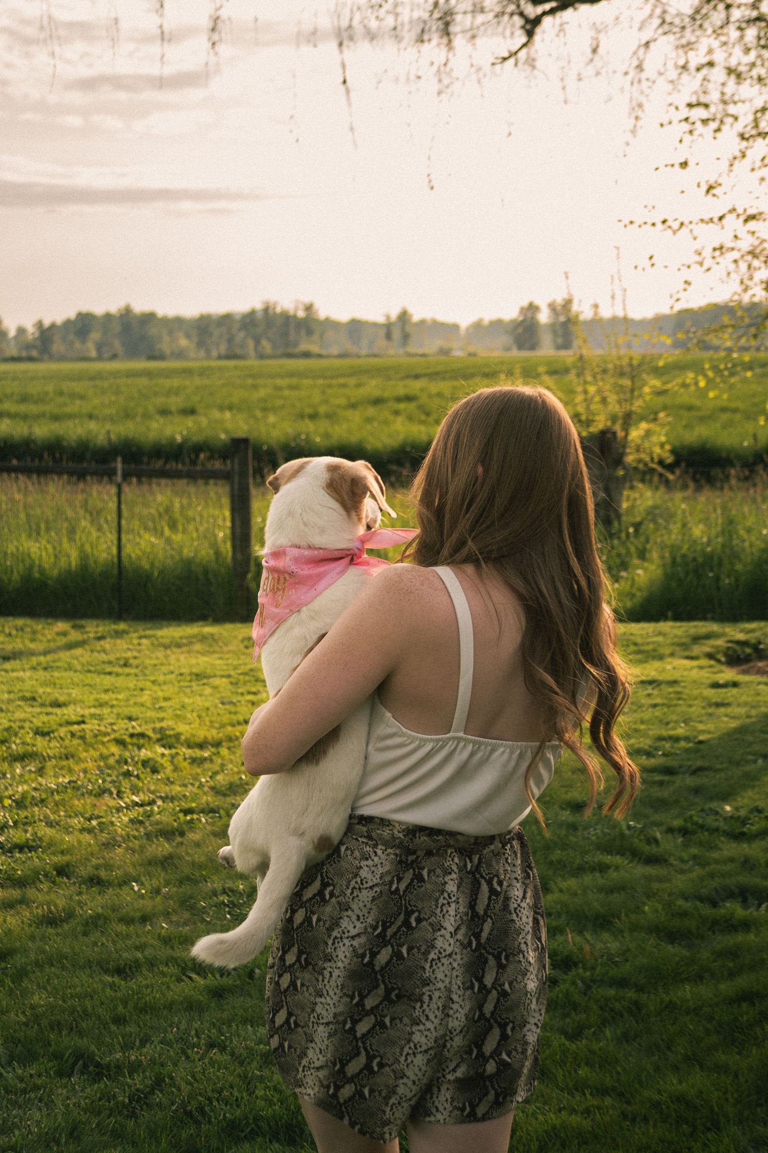 woman walking away from camera into a field holding her 18 year old small dog by Moon Street Photography
