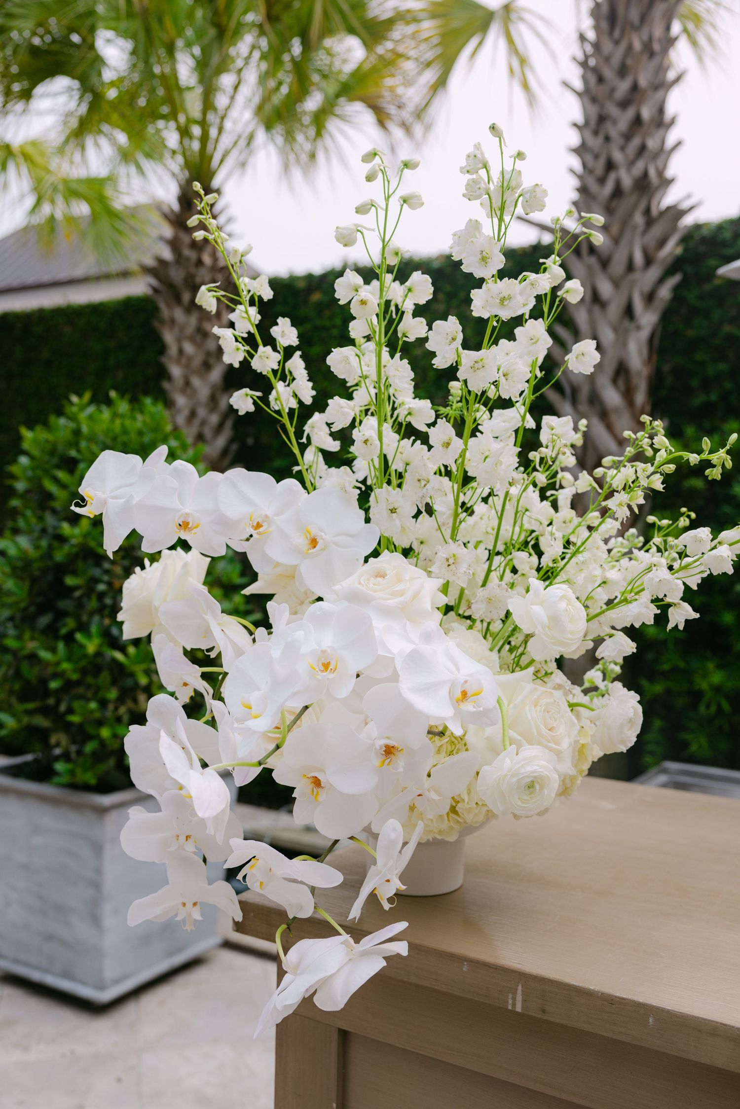 White orchid blossoms arranged on a beige surface with natural outdoor lighting.
