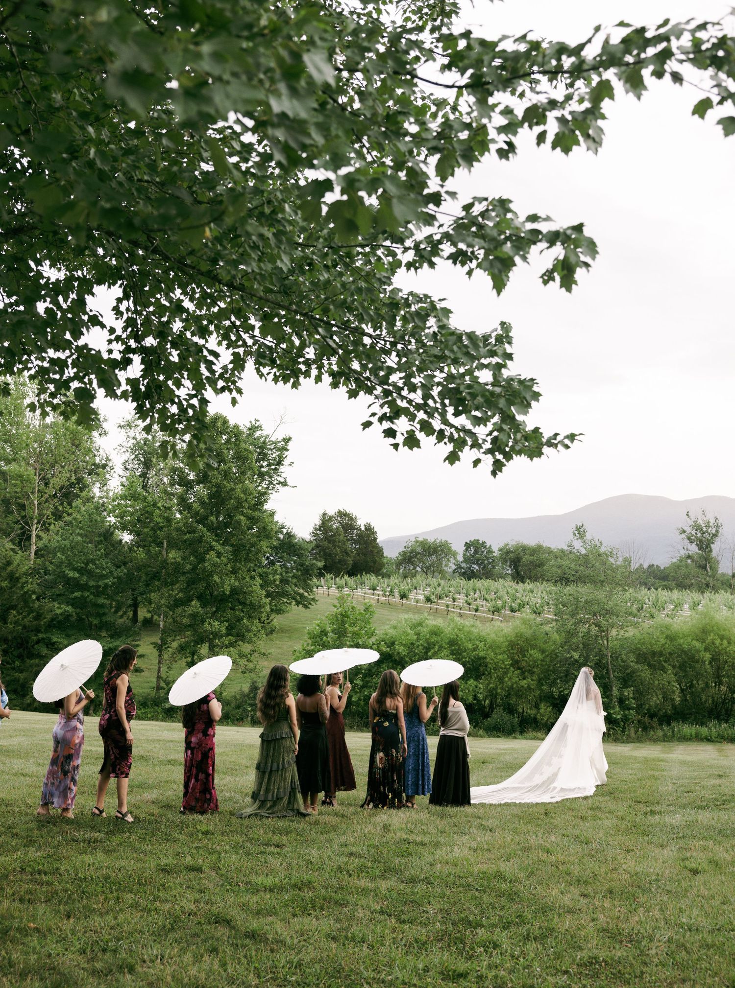 Bride with long veil walks with bridesmaids holding white parasols across lush green meadow with mountains.