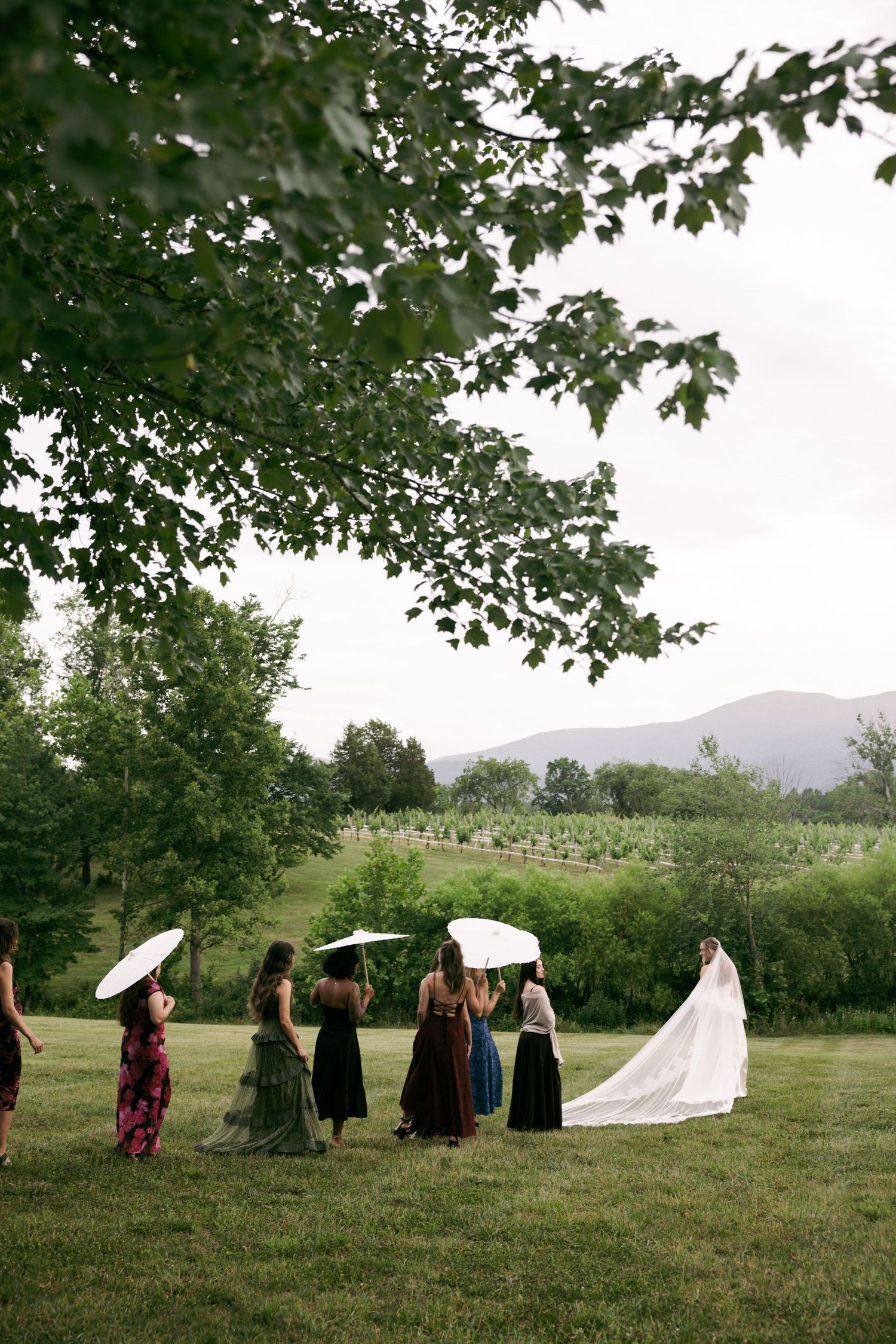 Bride and bridesmaids with parasols walking across lush green field with mountain views at outdoor wedding.