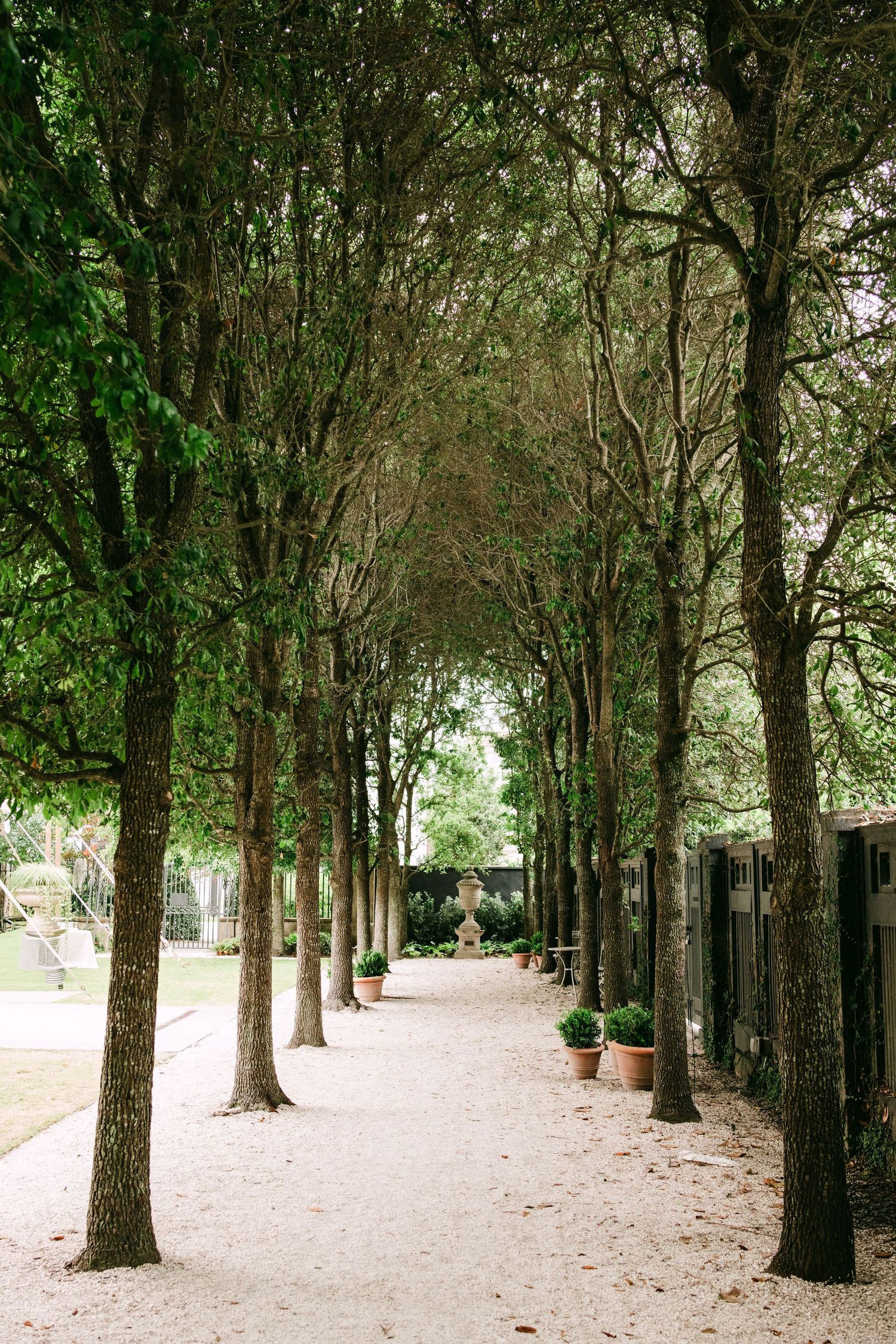 Tree-lined gravel pathway leading to a stone fountain in a lush green garden.