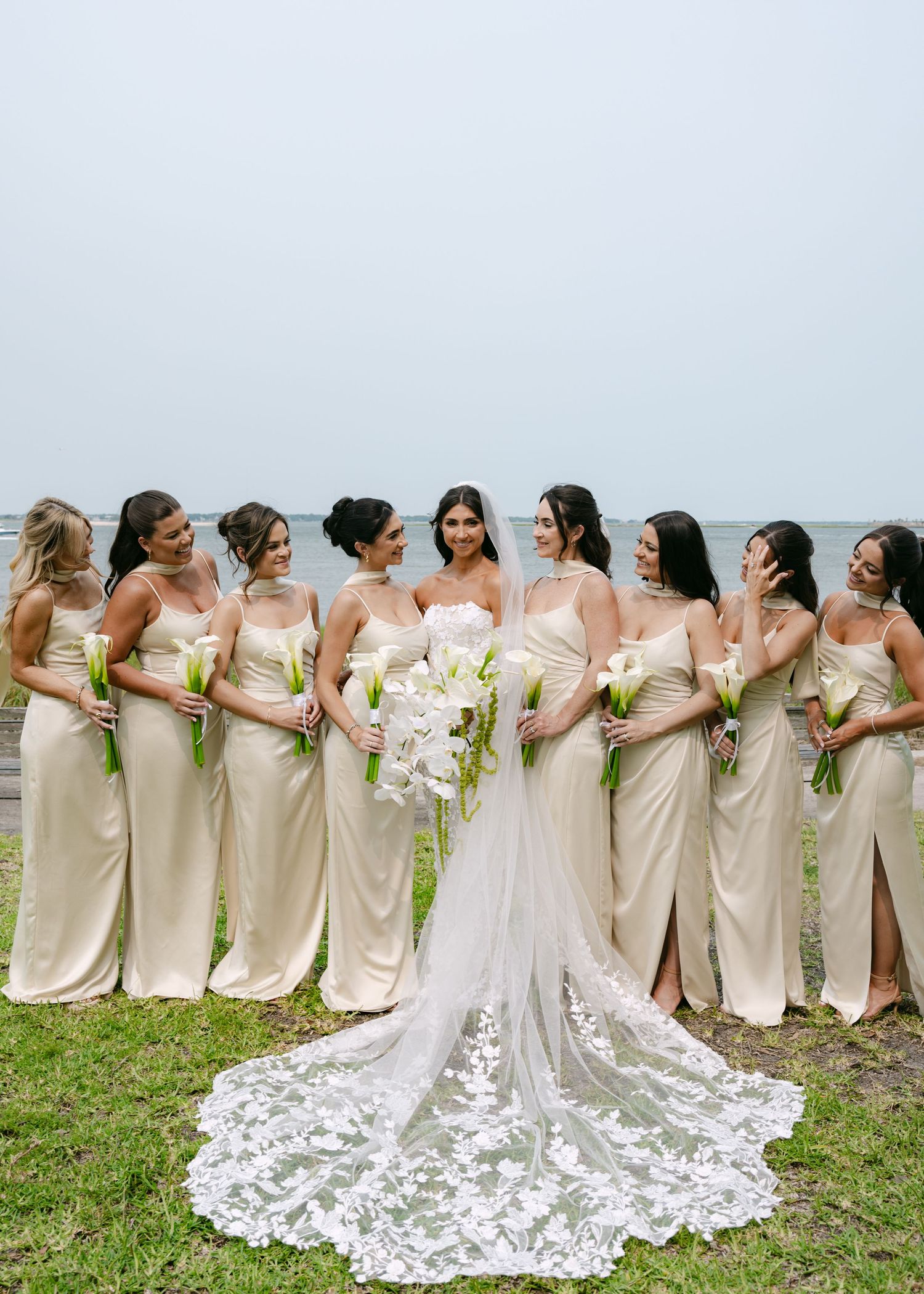 Bridesmaids in champagne dresses and bride in lace gown posing in a line on grassy field.